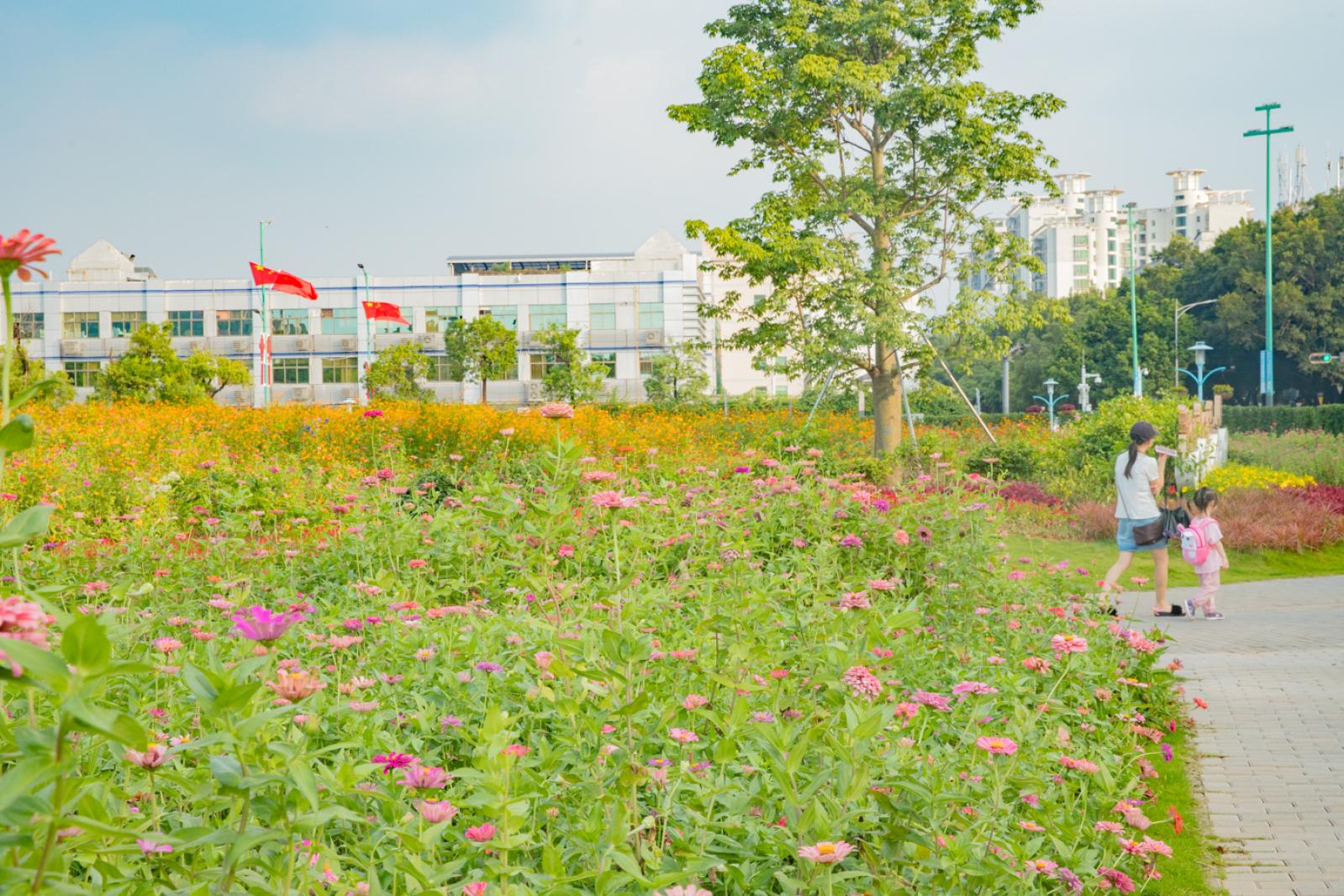新安花田