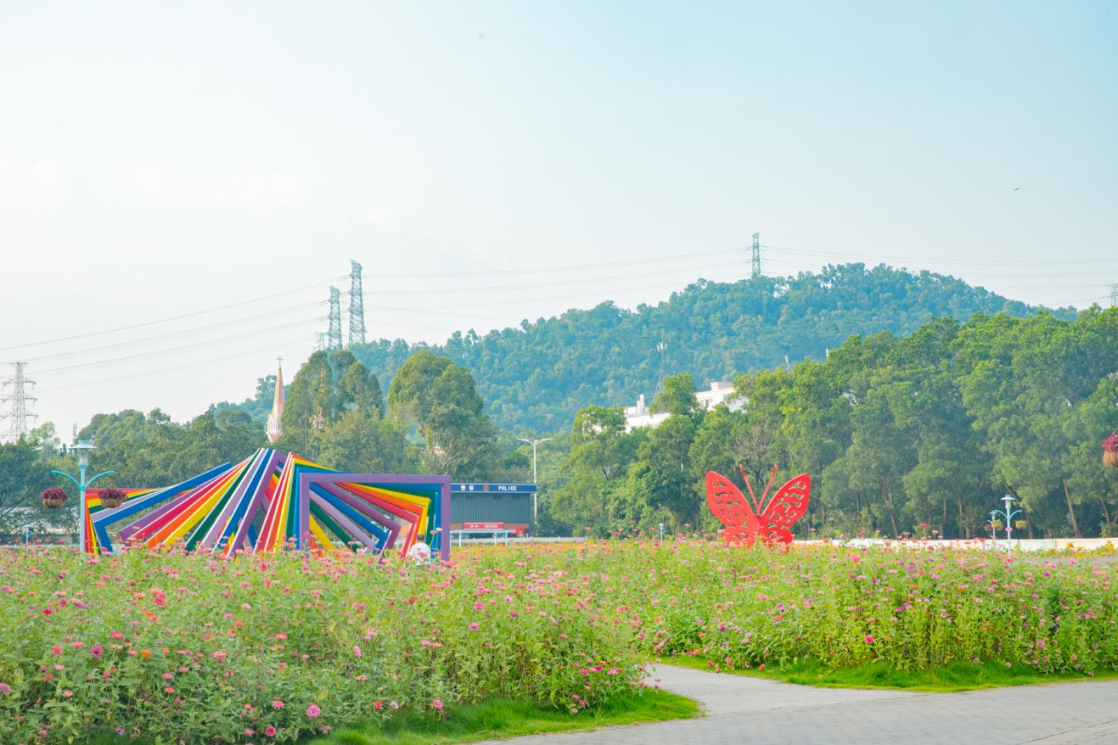 新安花田