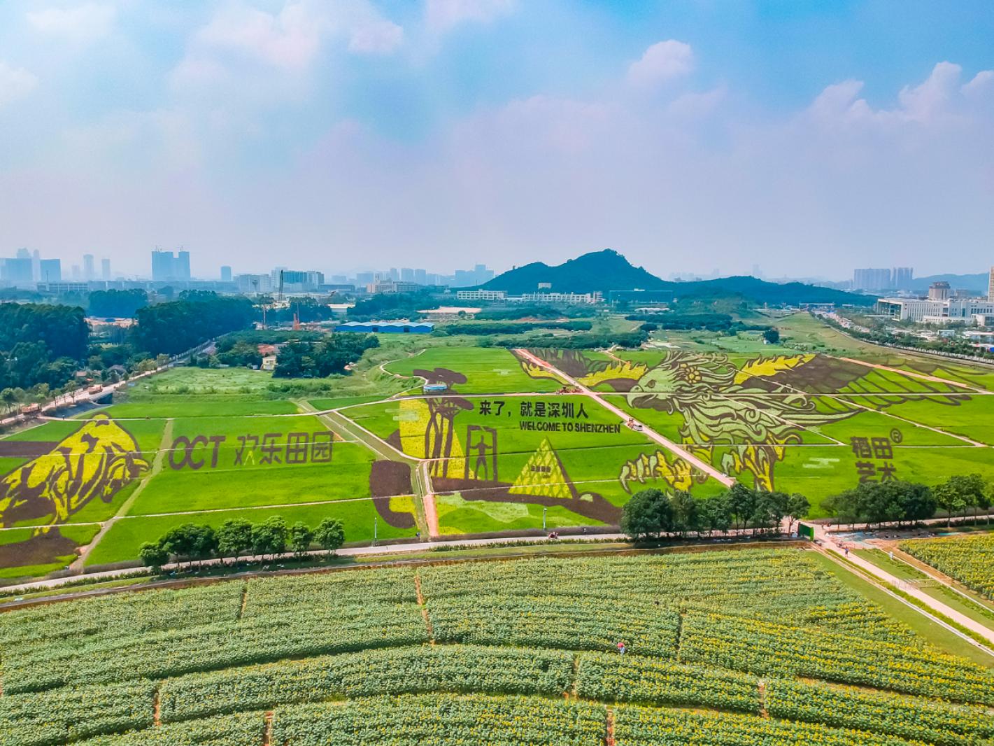 光明小镇欢乐田园