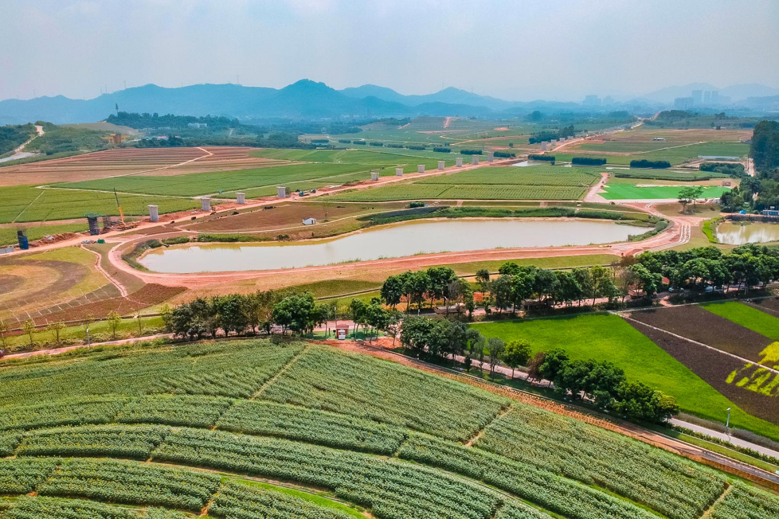 光明小镇欢乐田园