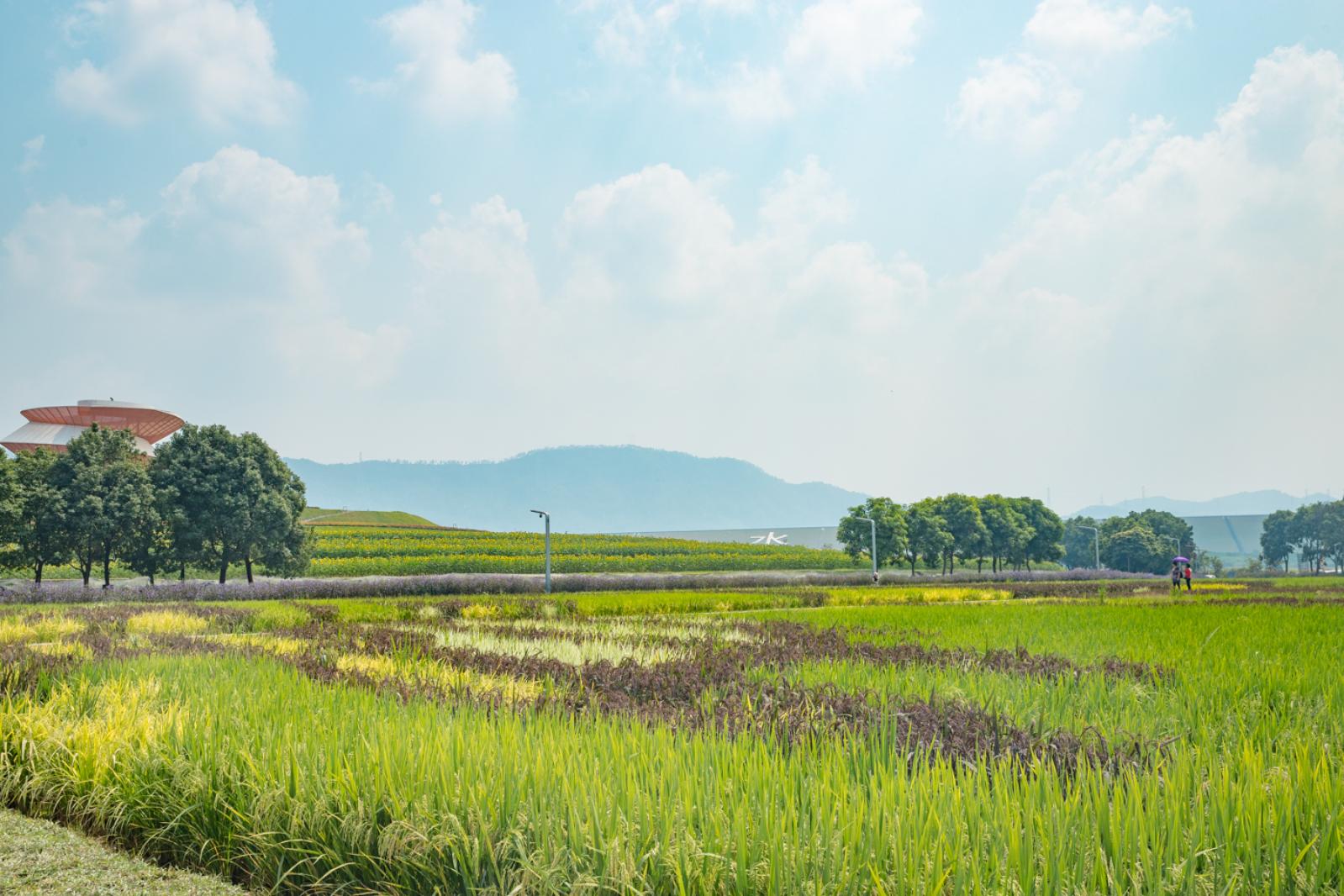光明小镇欢乐田园