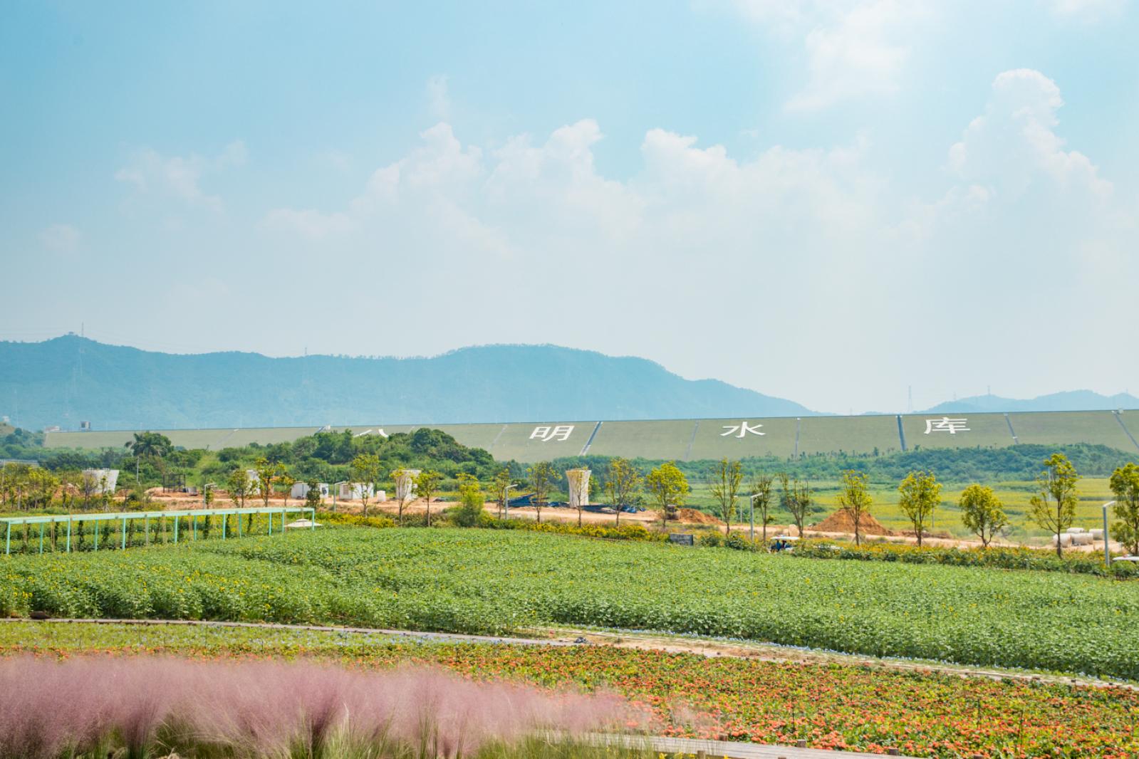 光明小镇欢乐田园
