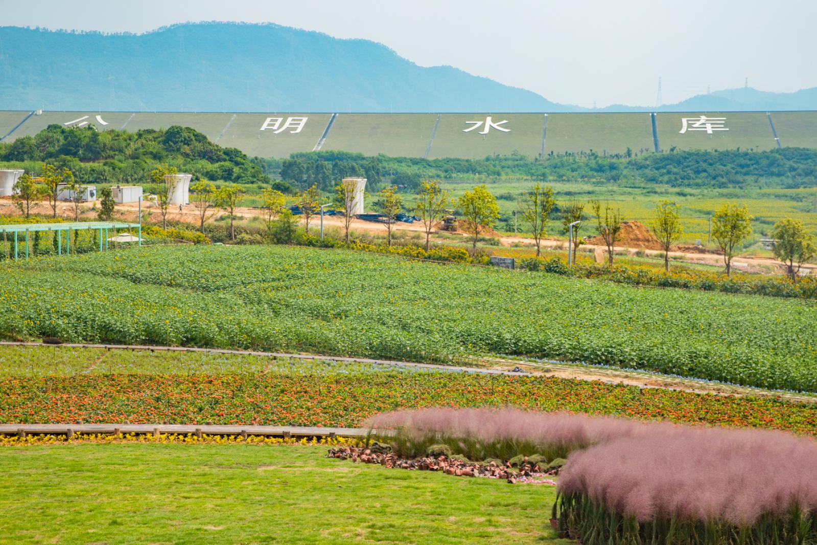 光明小镇欢乐田园