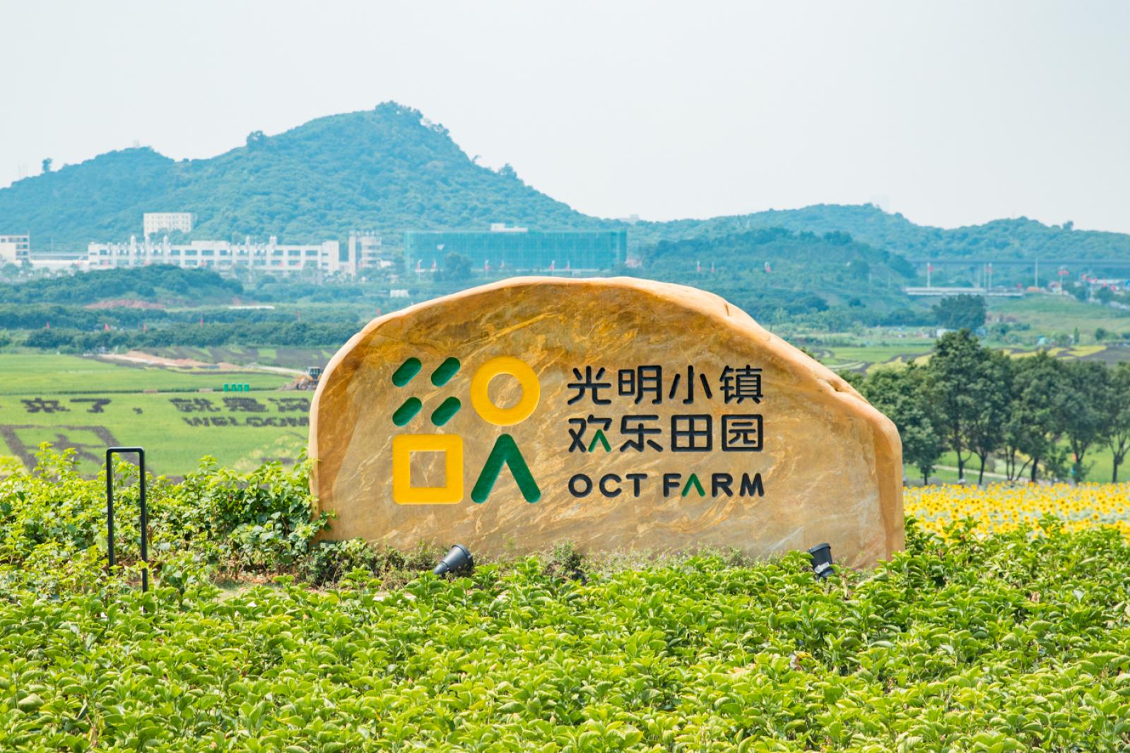 光明小镇欢乐田园
