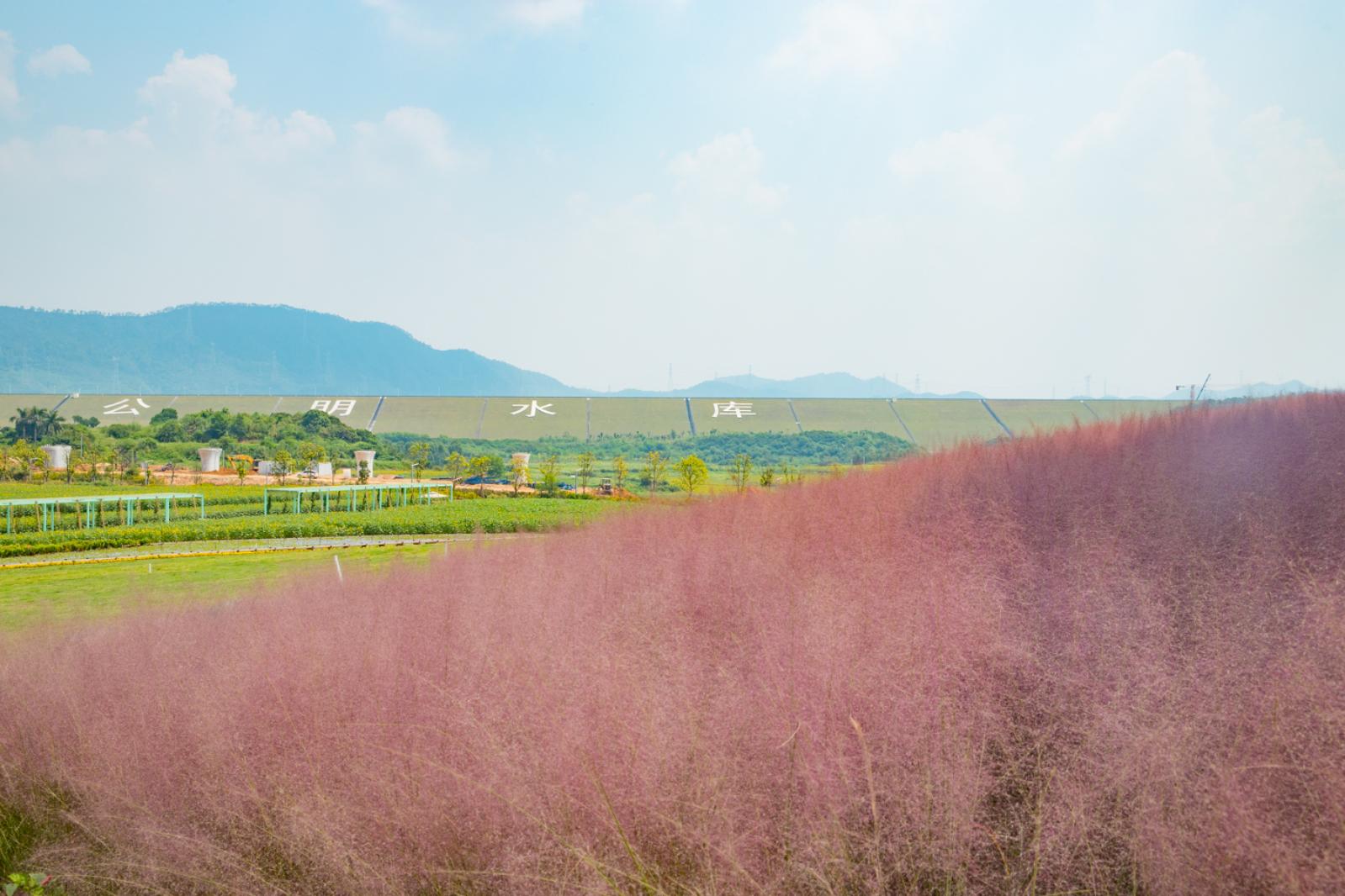 光明小镇欢乐田园