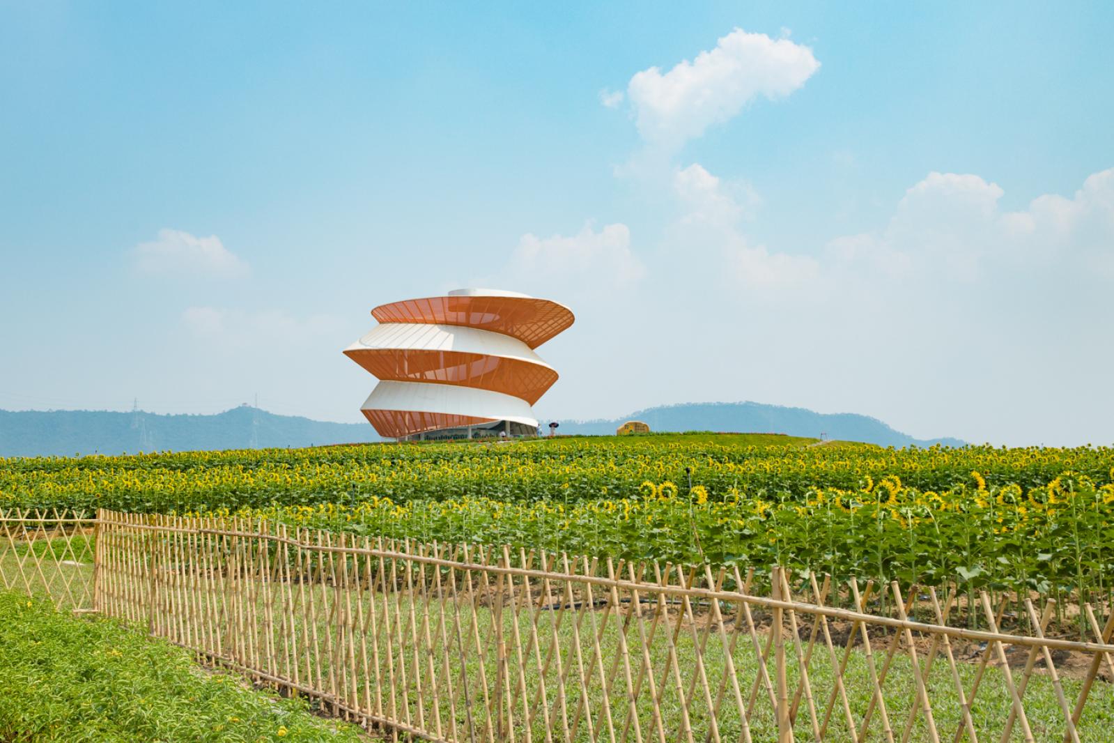光明小镇欢乐田园