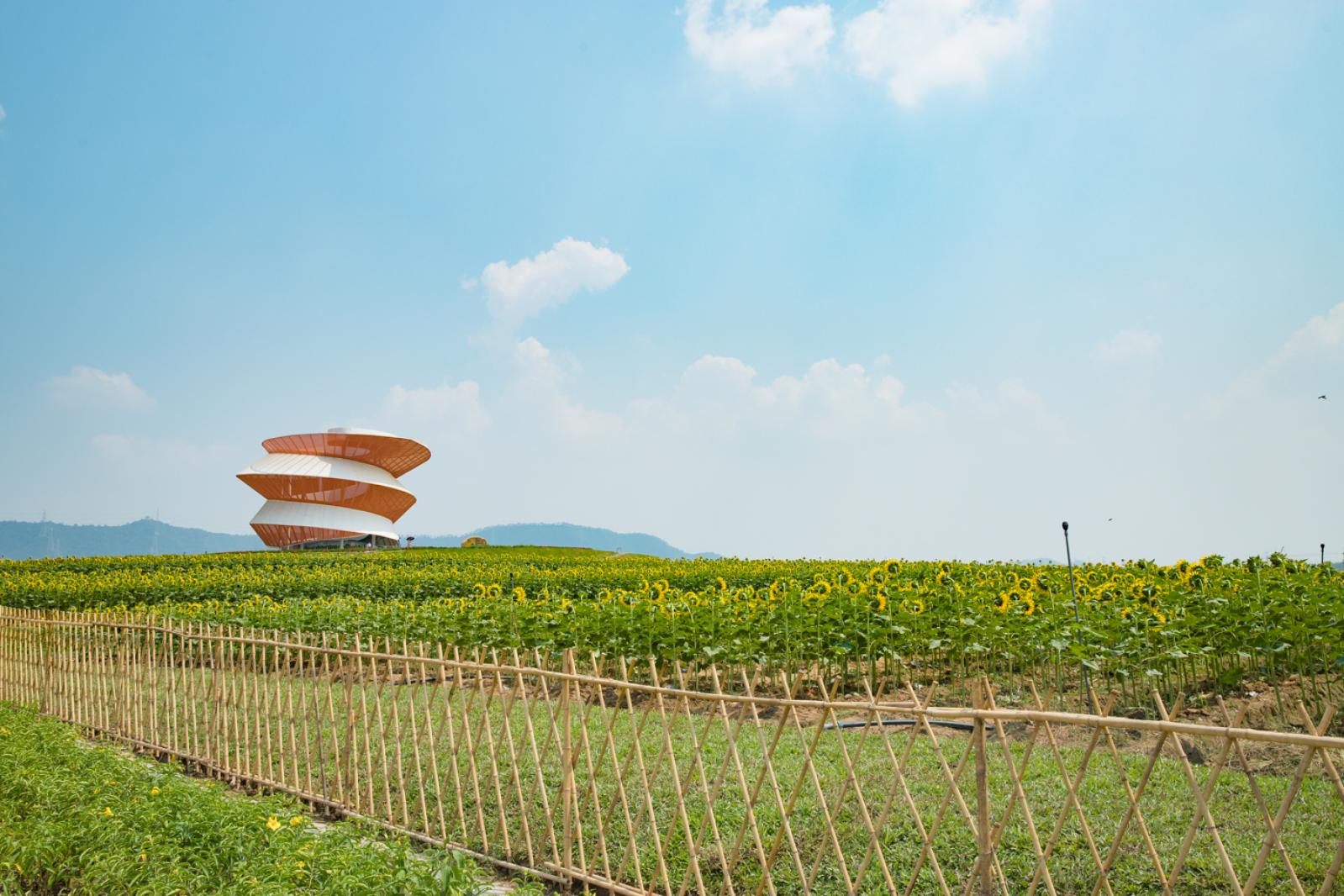 光明小镇欢乐田园