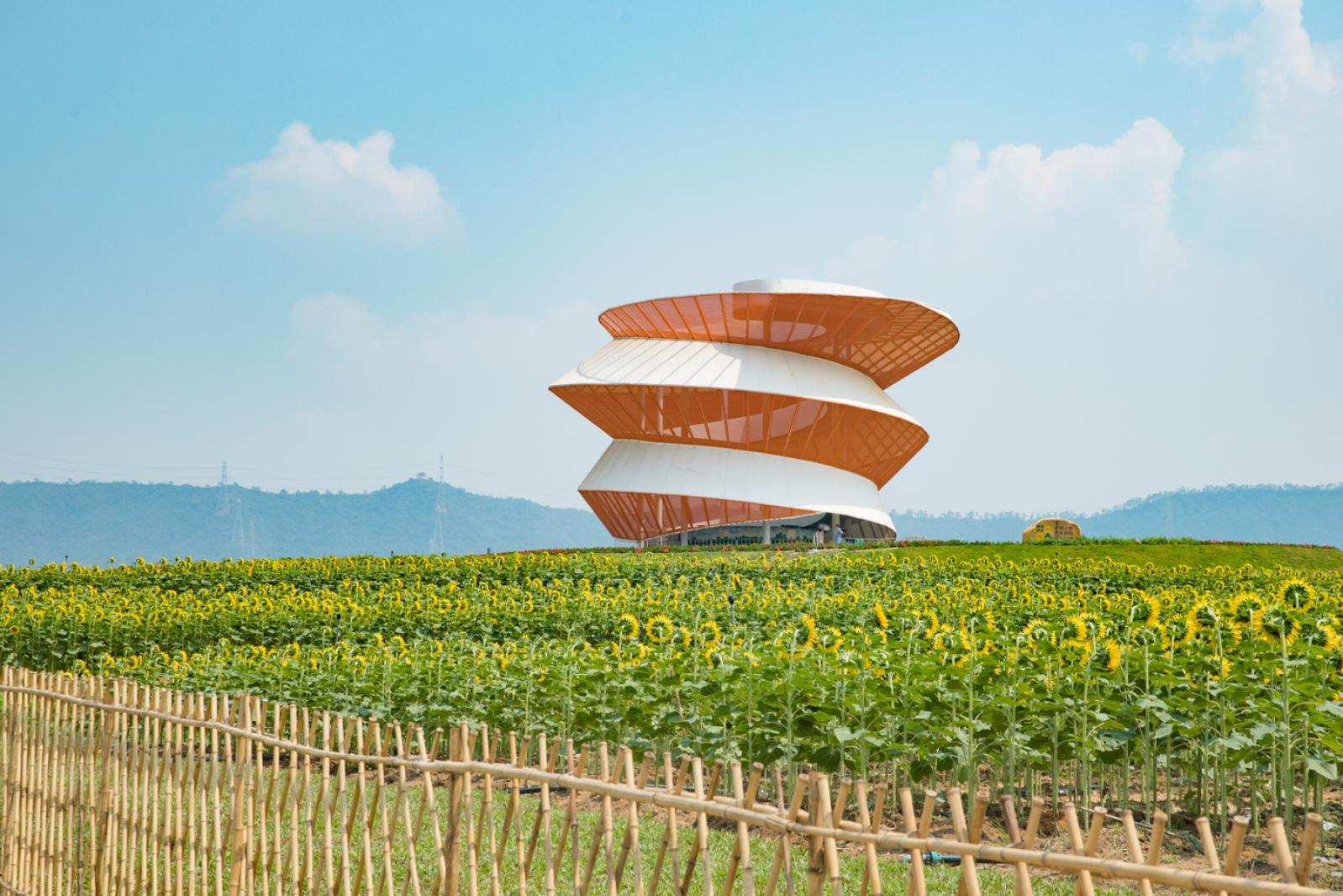 光明小镇欢乐田园