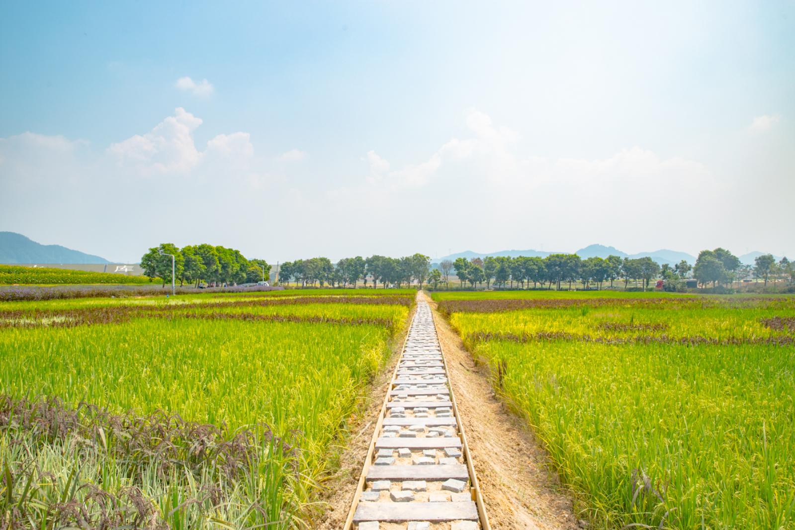光明小镇欢乐田园
