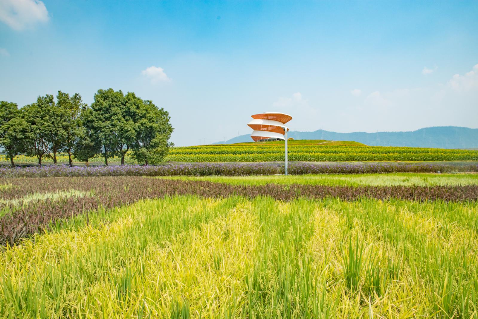 光明小镇欢乐田园