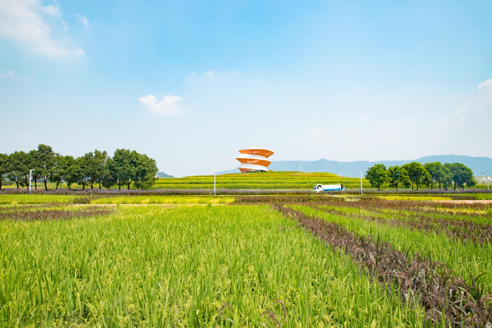 光明小镇欢乐田园