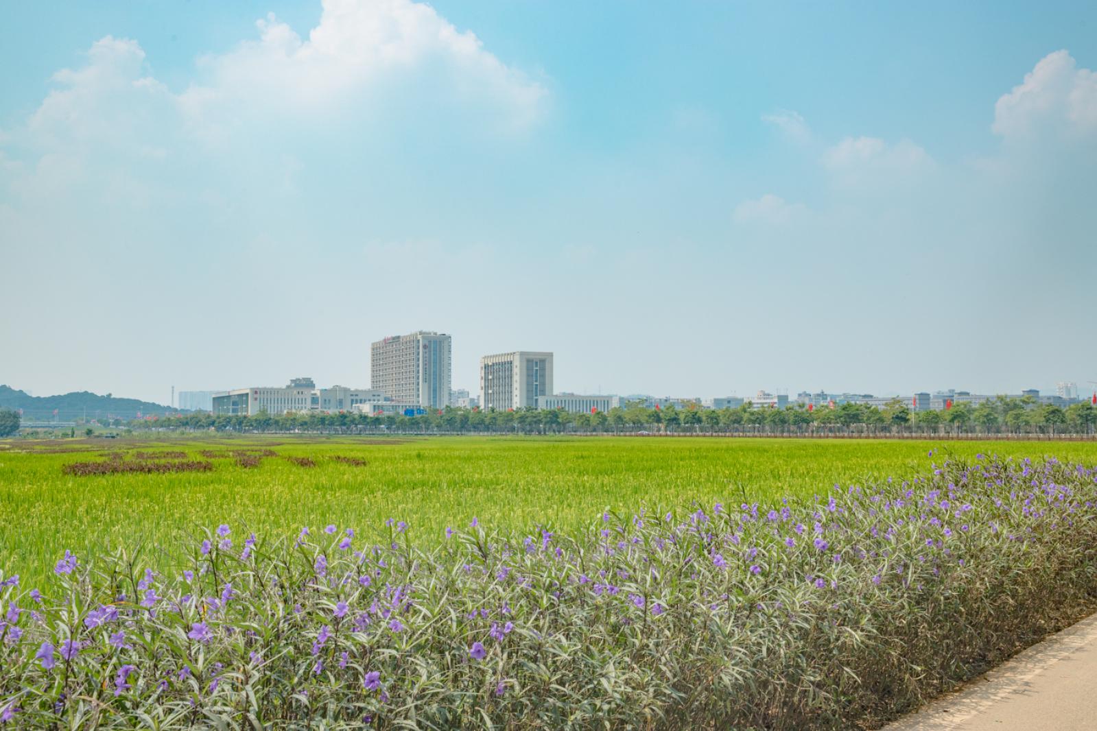 光明小镇欢乐田园