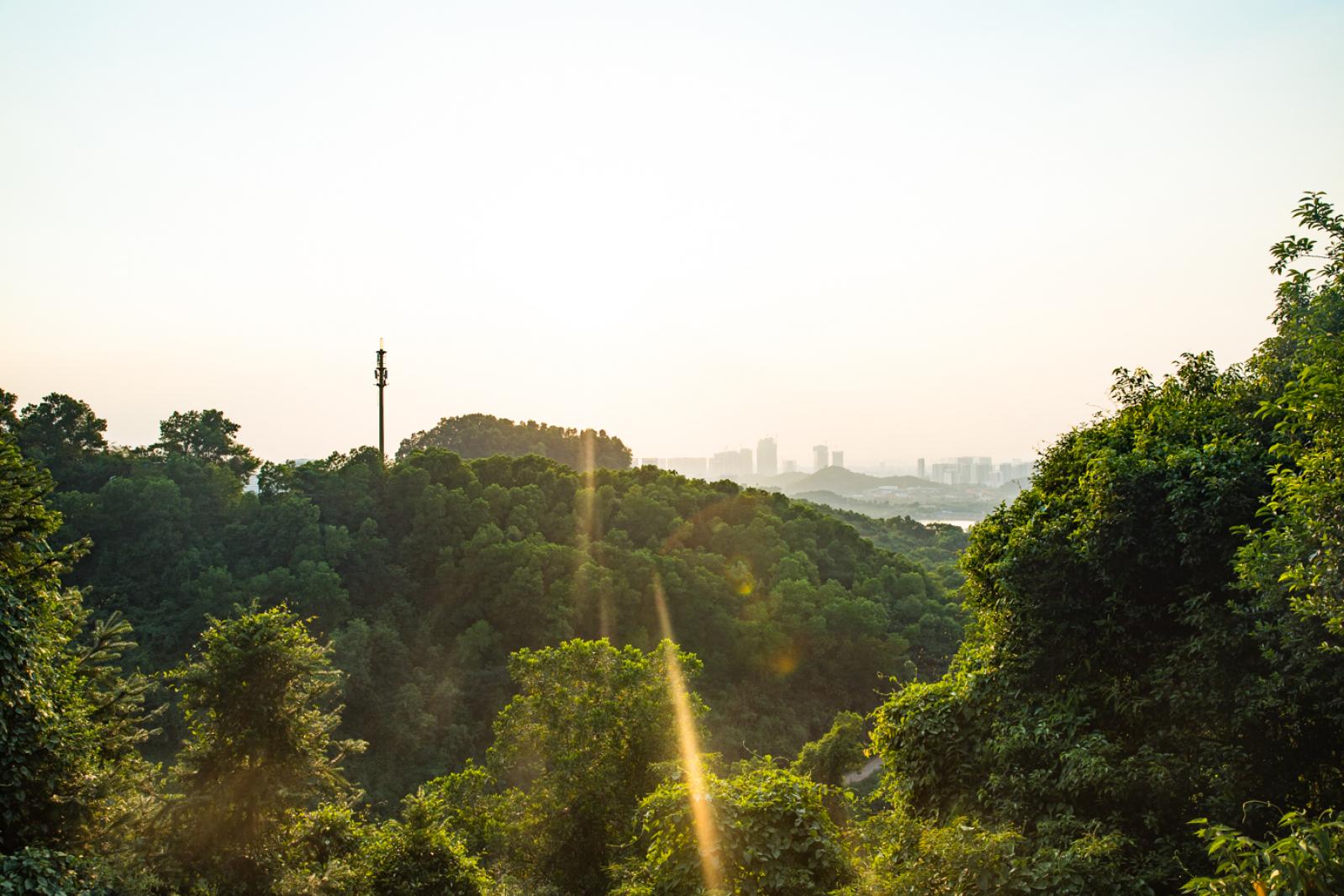 大顶岭绿道