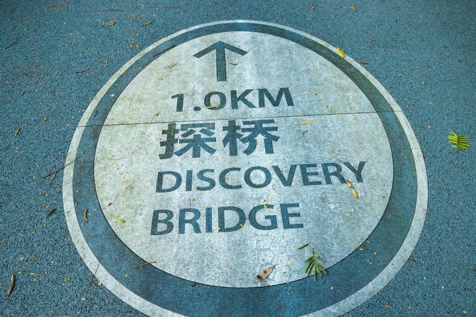 大顶岭绿道