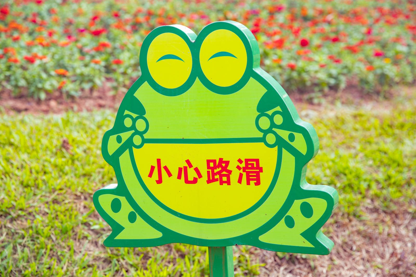 市民中心花海