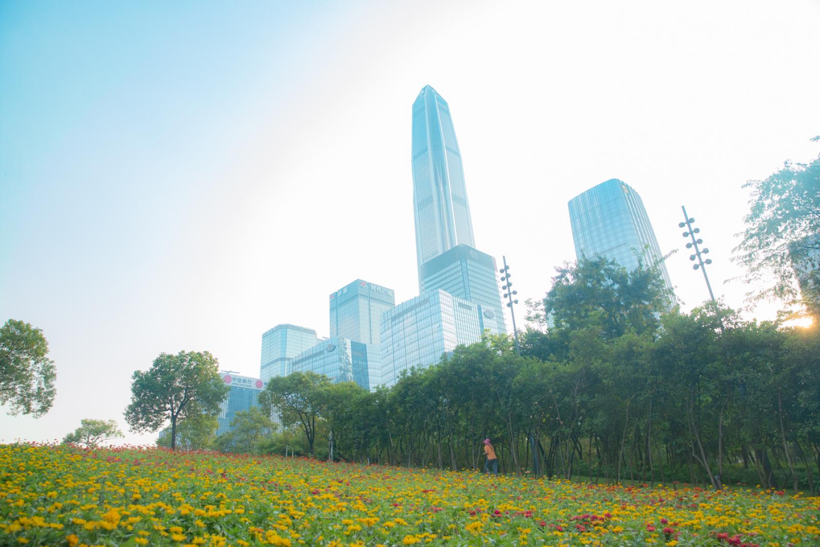 市民中心花海