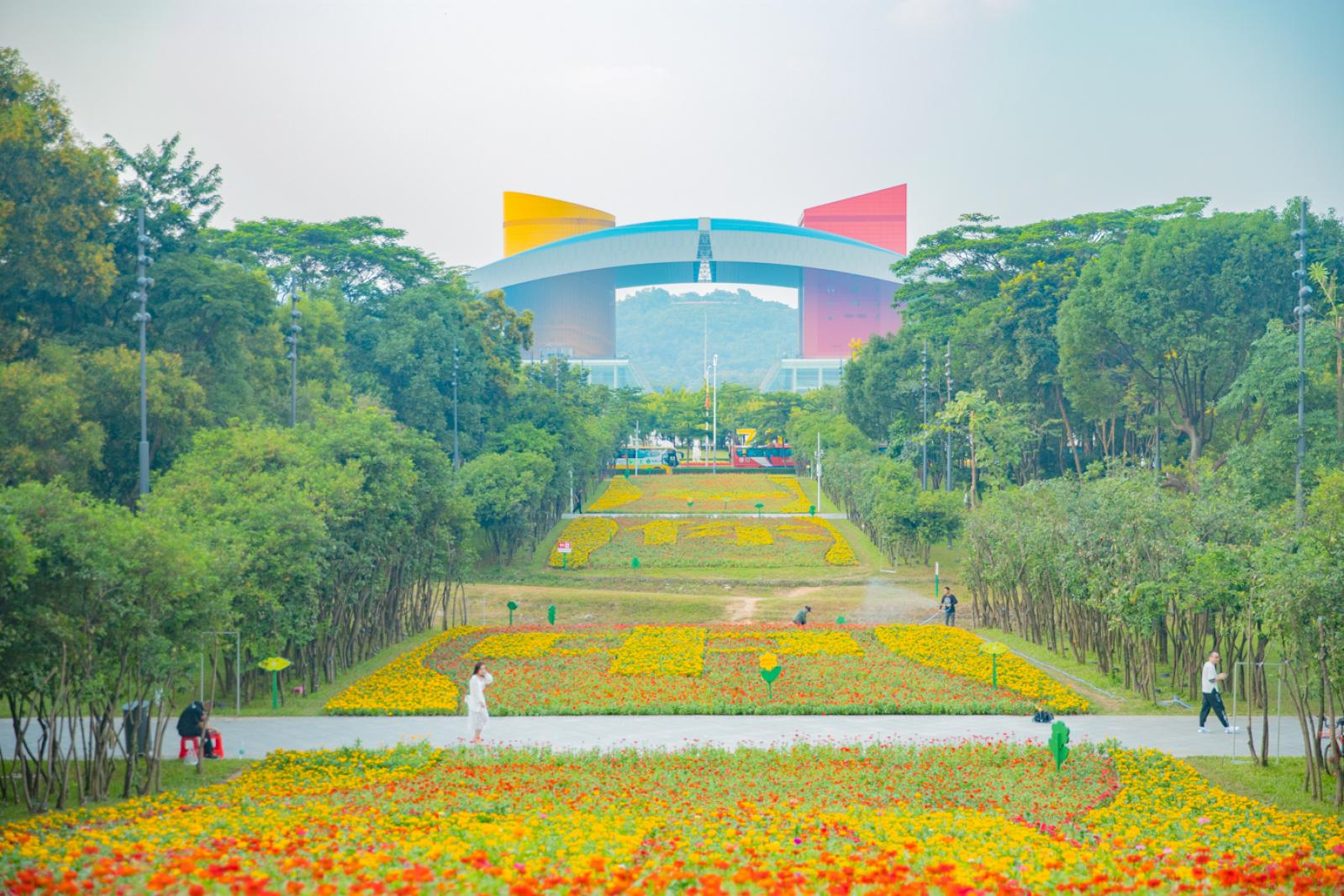 市民中心花海