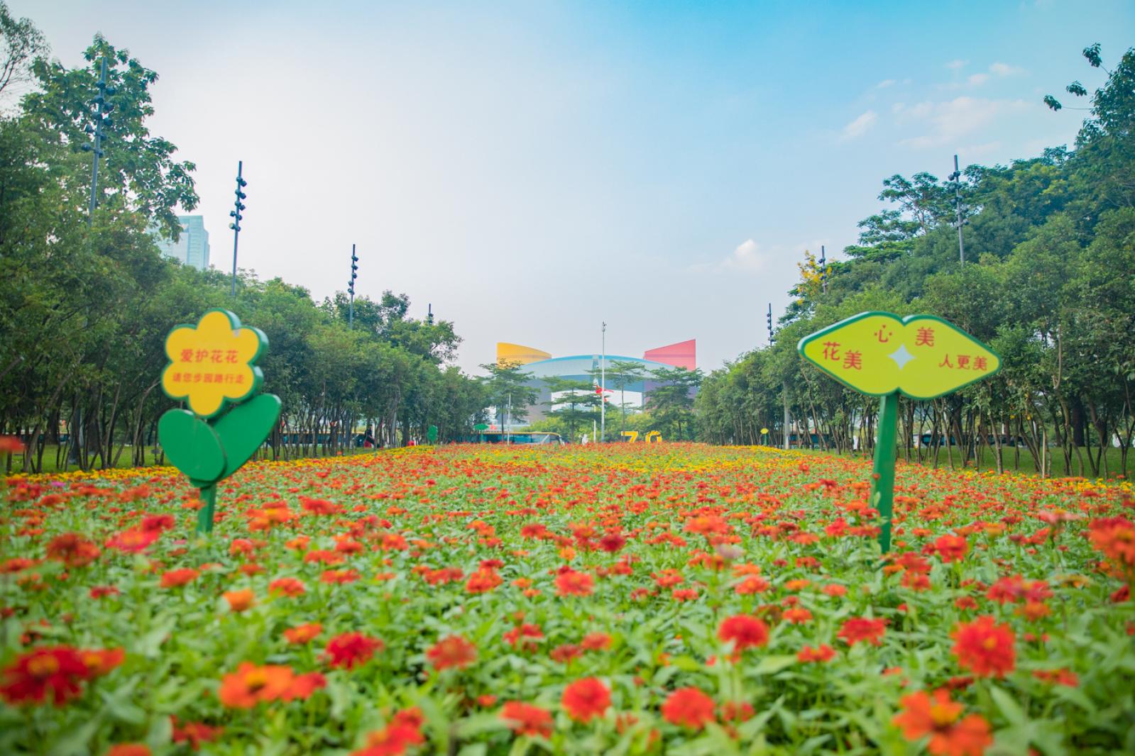 市民中心花海
