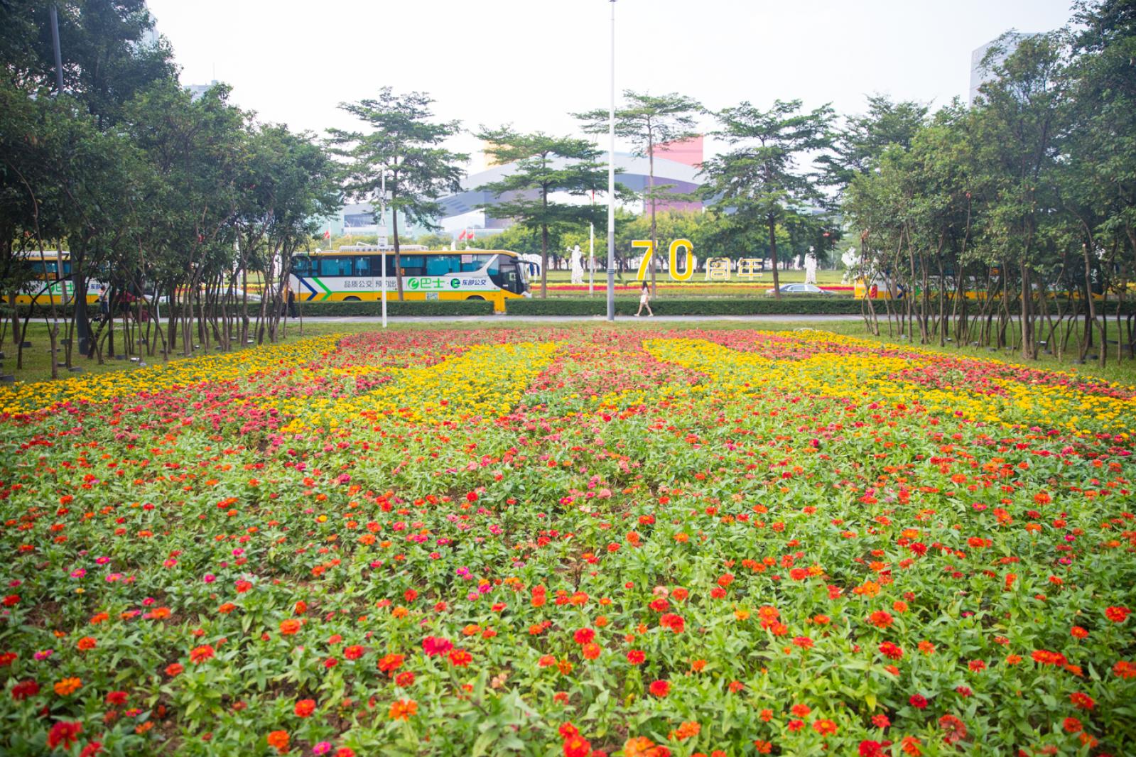 市民中心花海