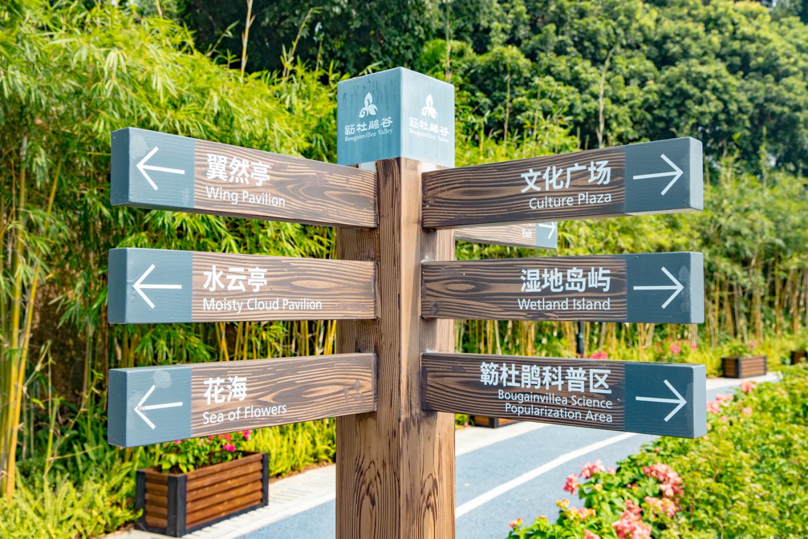 簕杜鹃谷