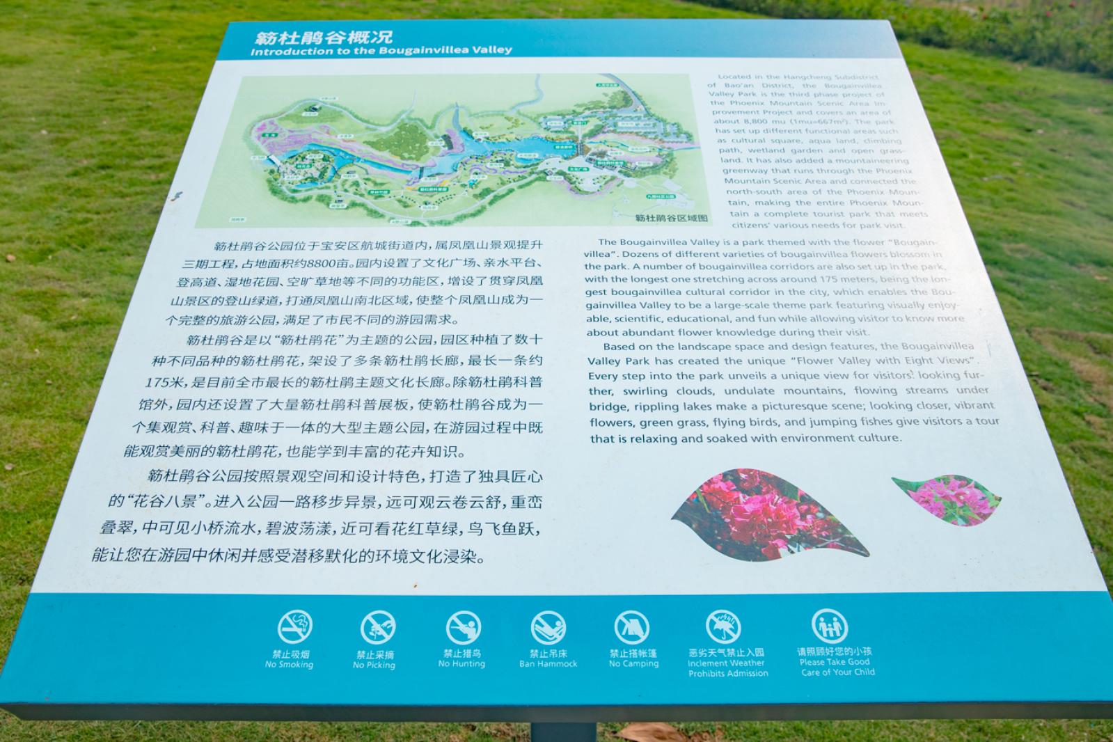 簕杜鹃谷
