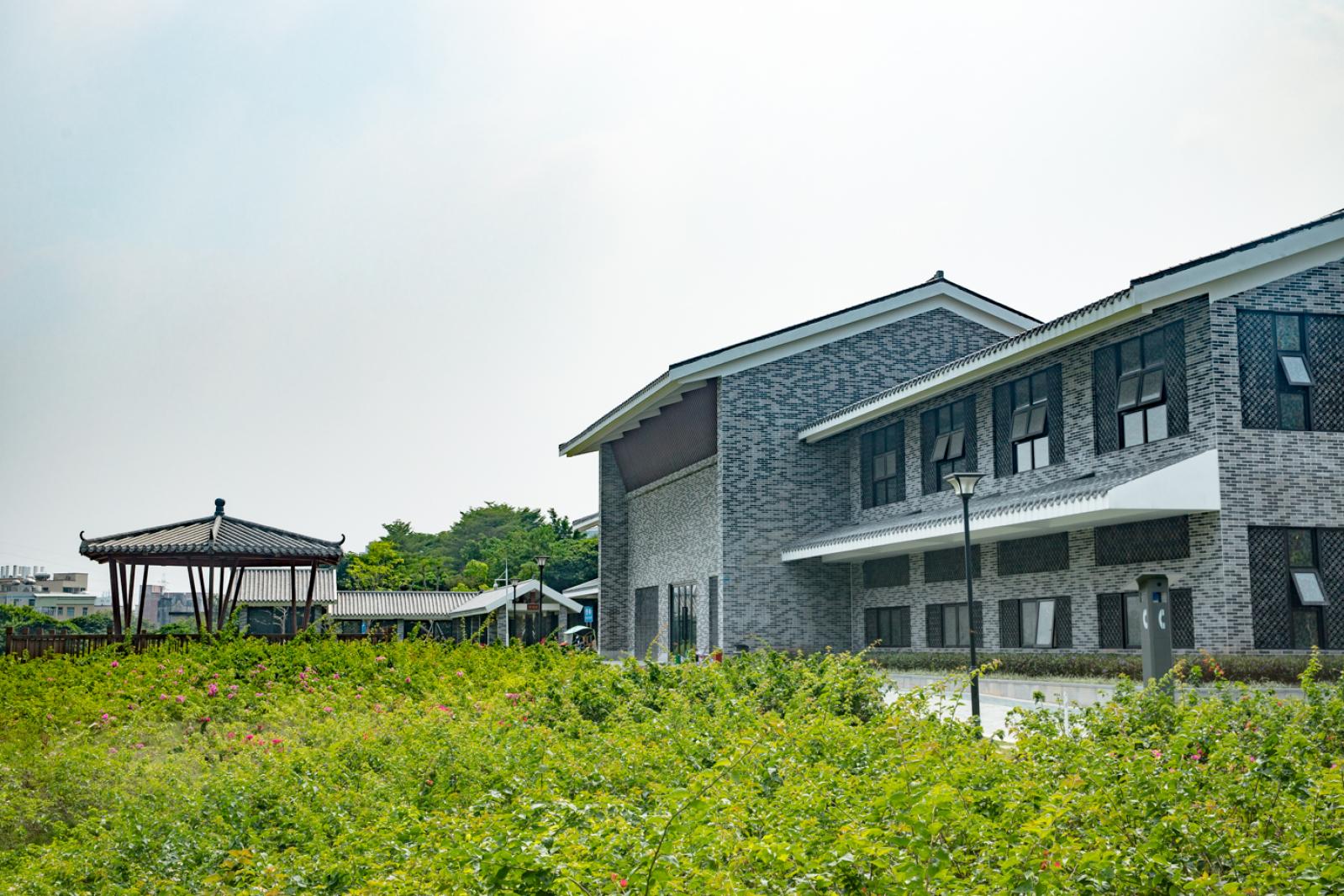 簕杜鹃谷