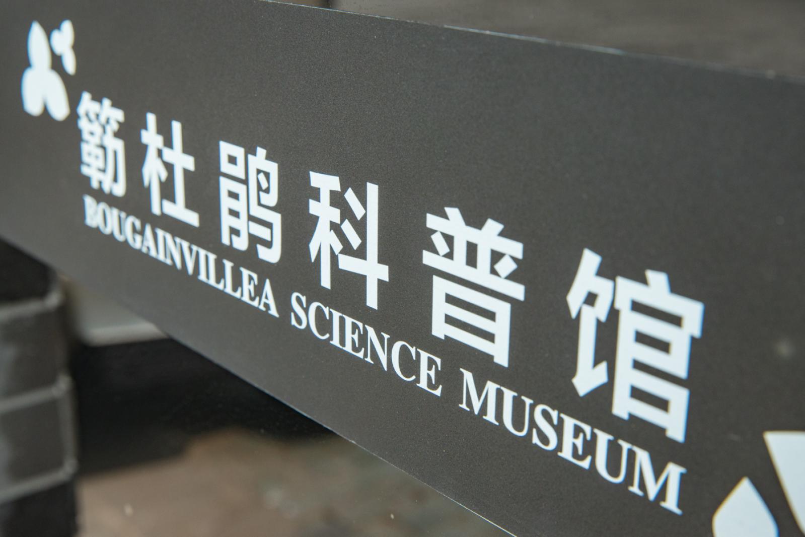 簕杜鹃谷