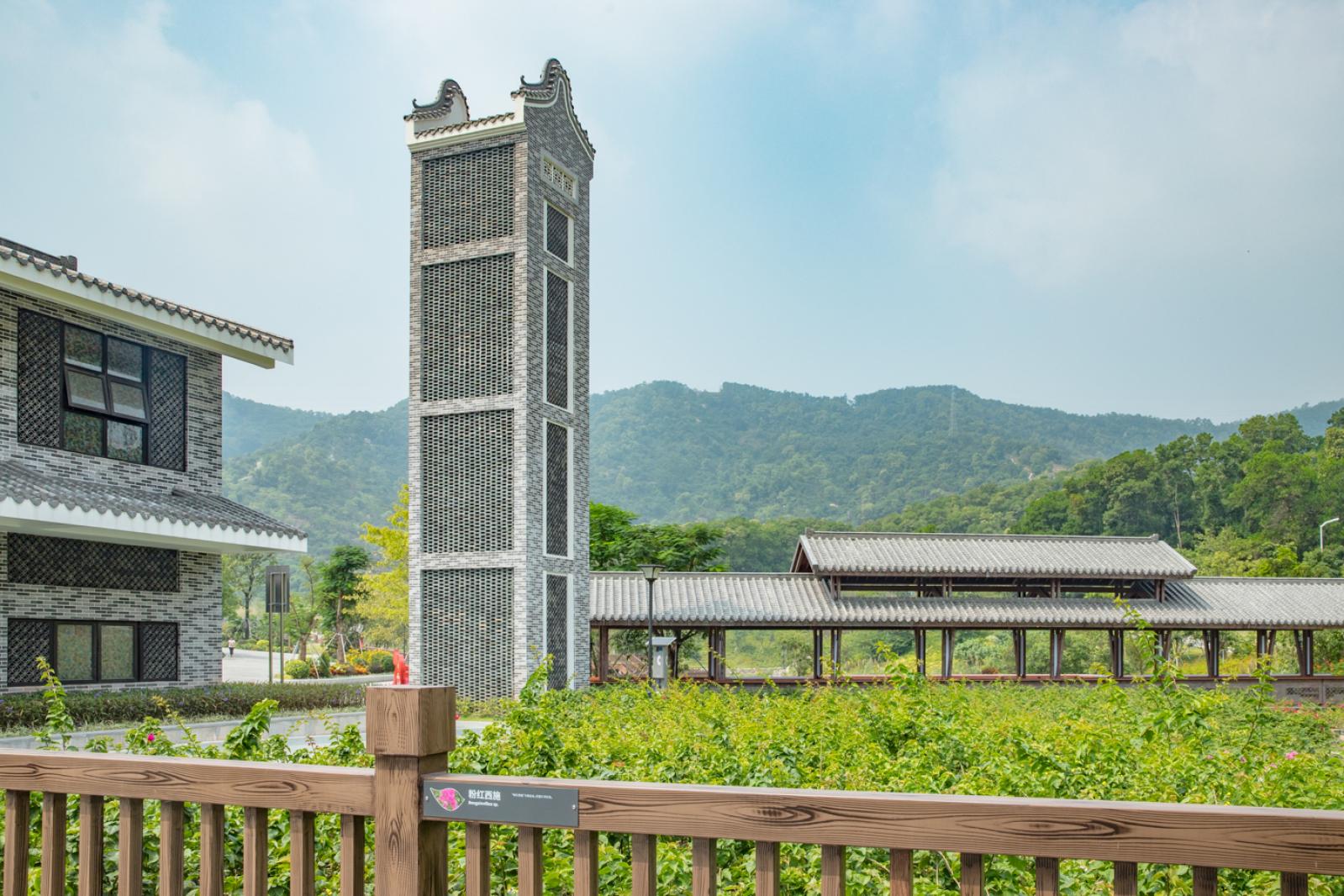 簕杜鹃谷