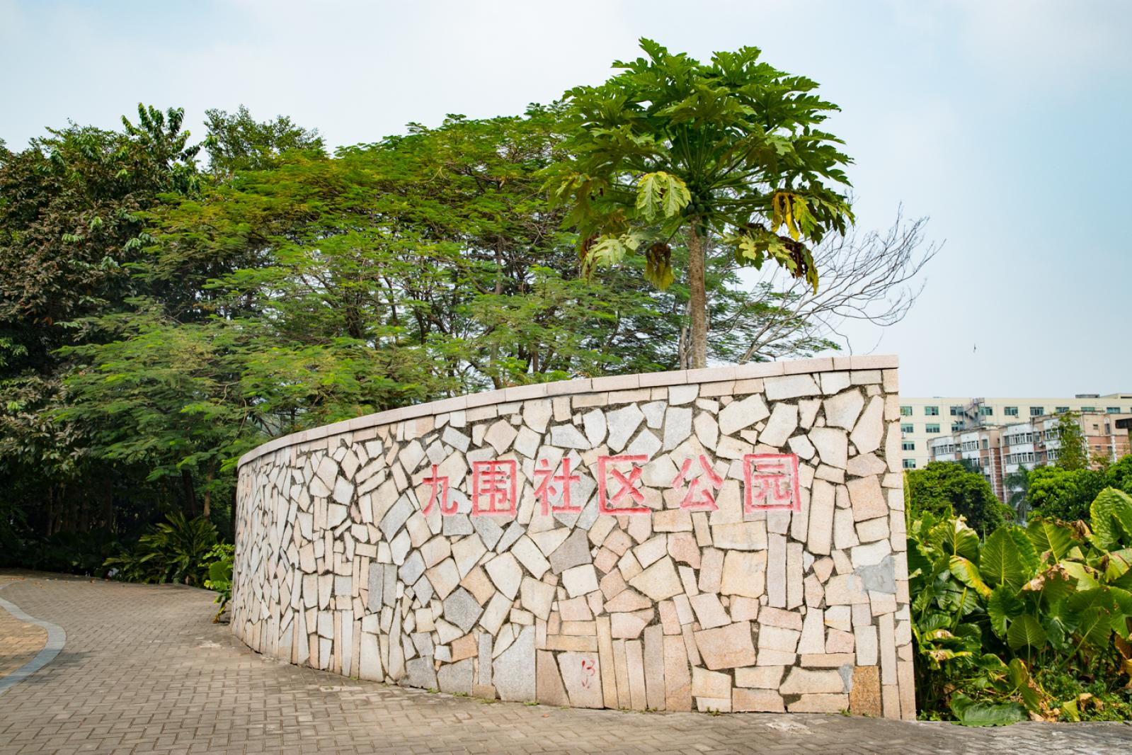 簕杜鹃谷