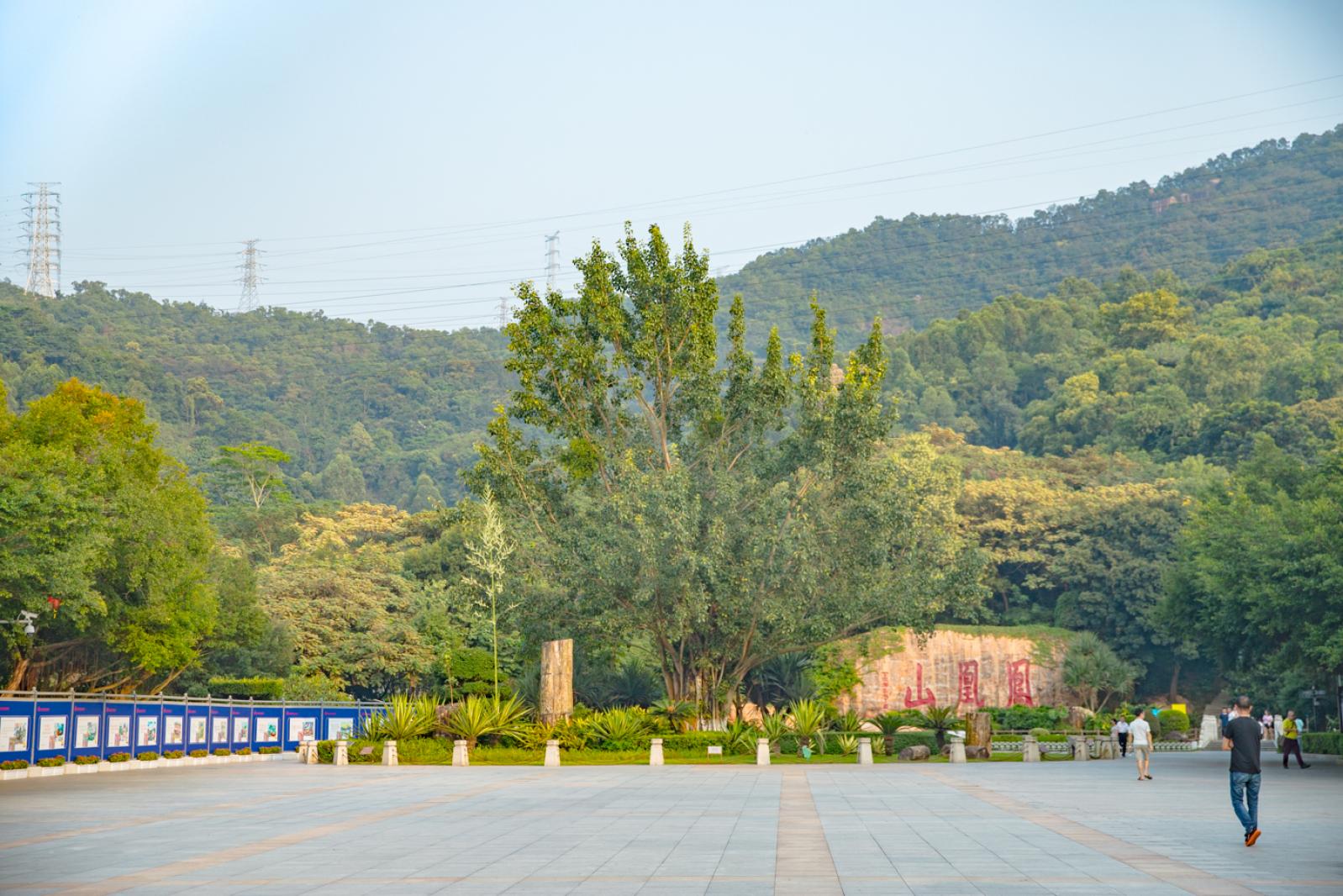 凤凰山森林公园