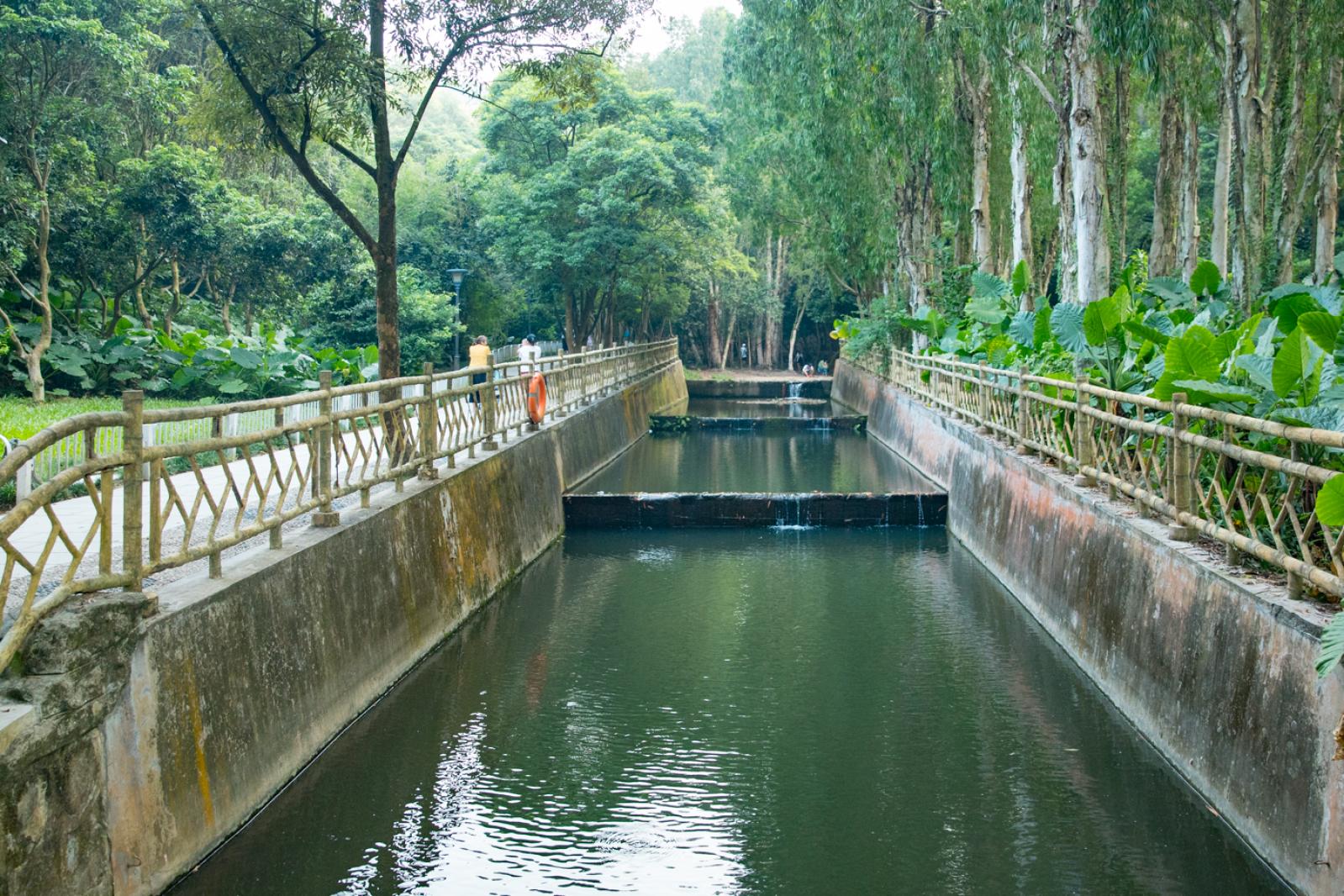 凤凰山森林公园