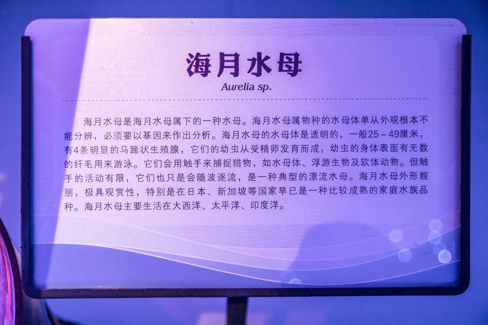 宝安科技馆