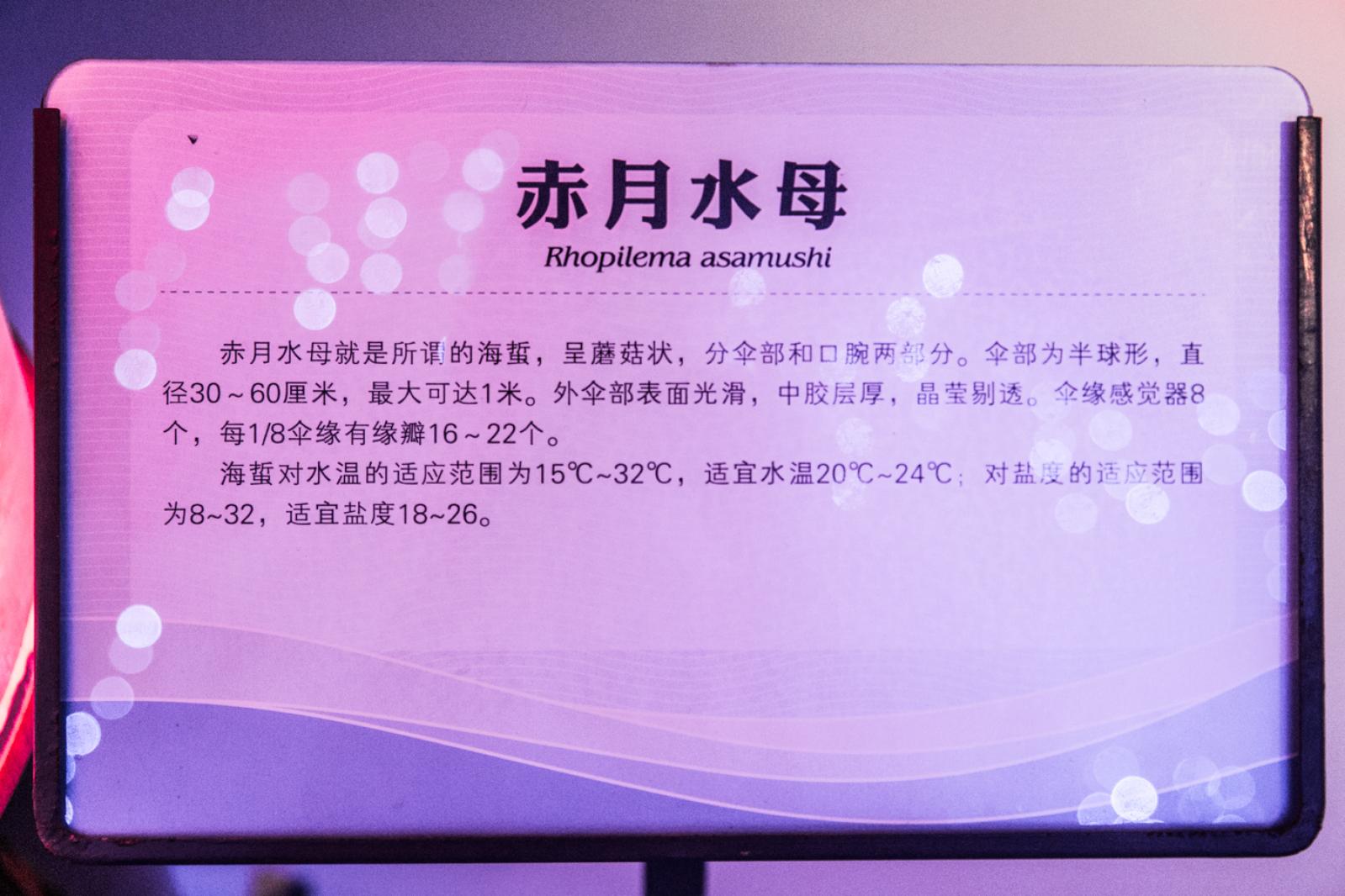 宝安科技馆