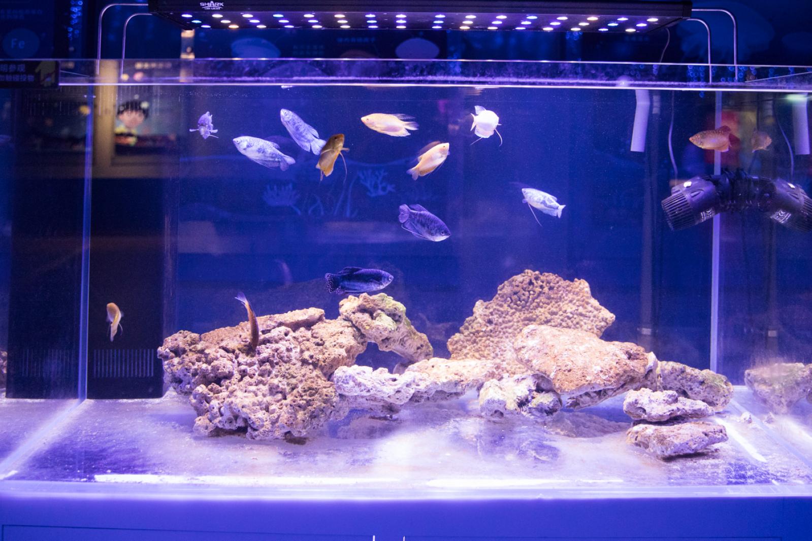 宝安科技馆