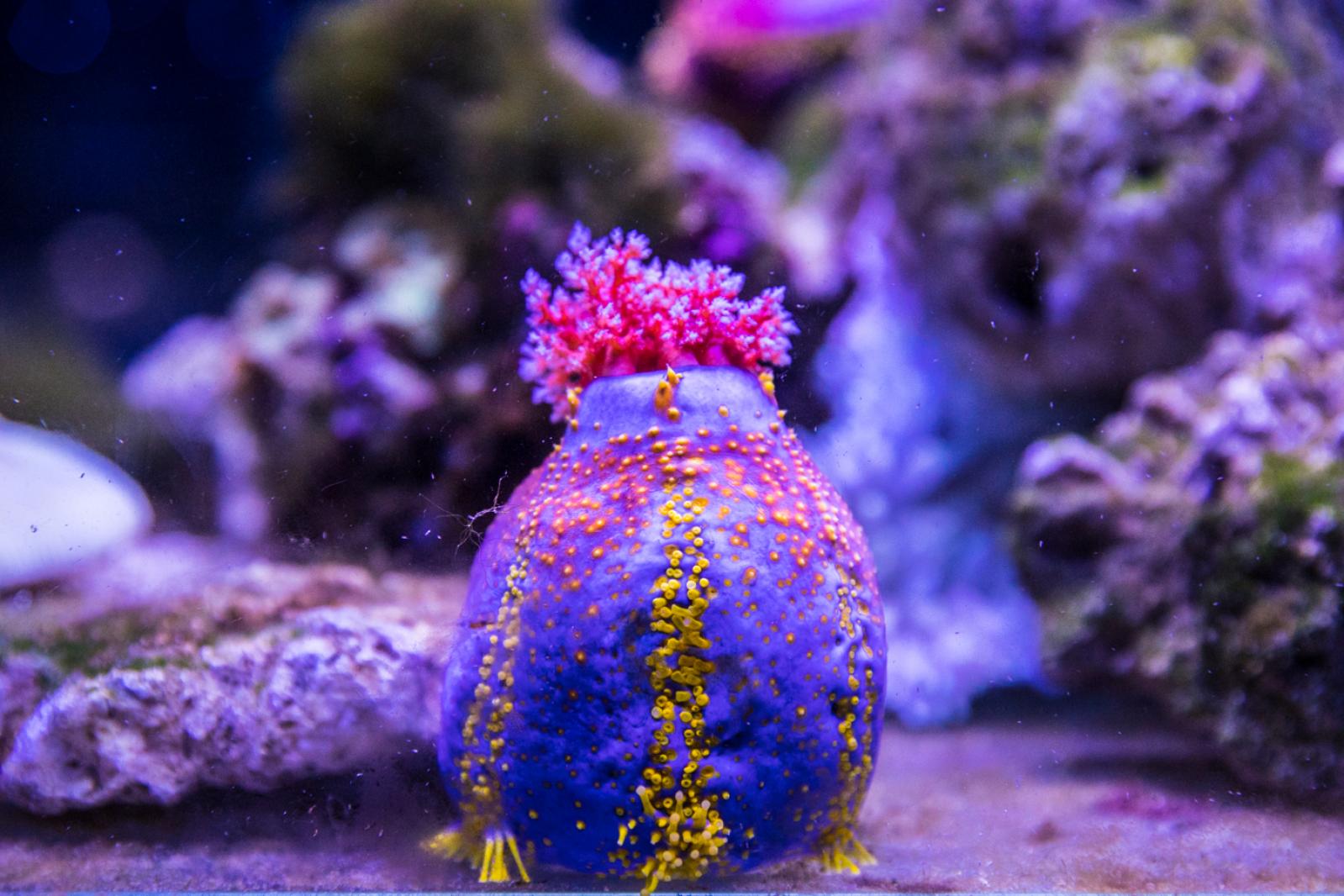宝安科技馆