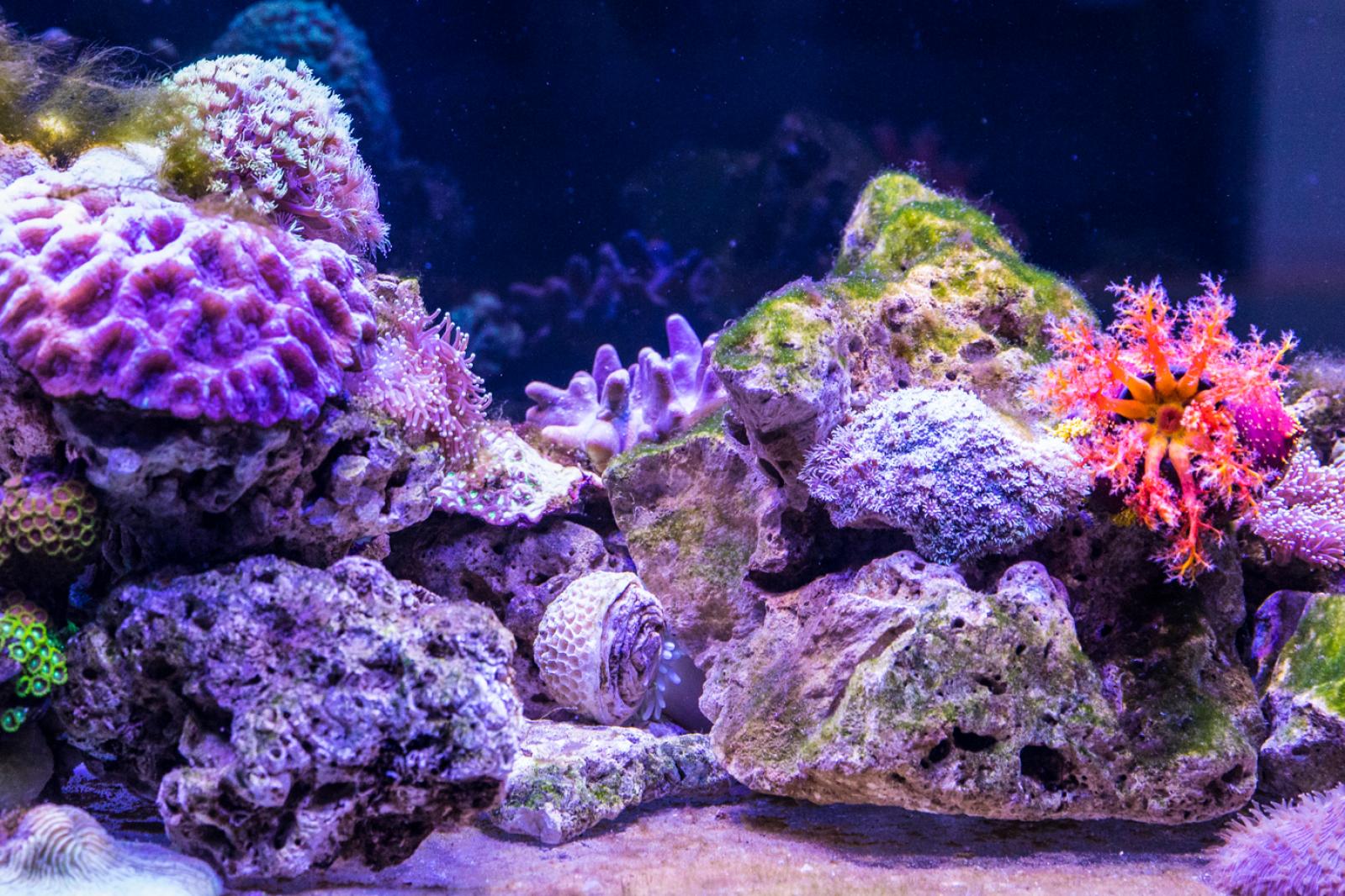 宝安科技馆
