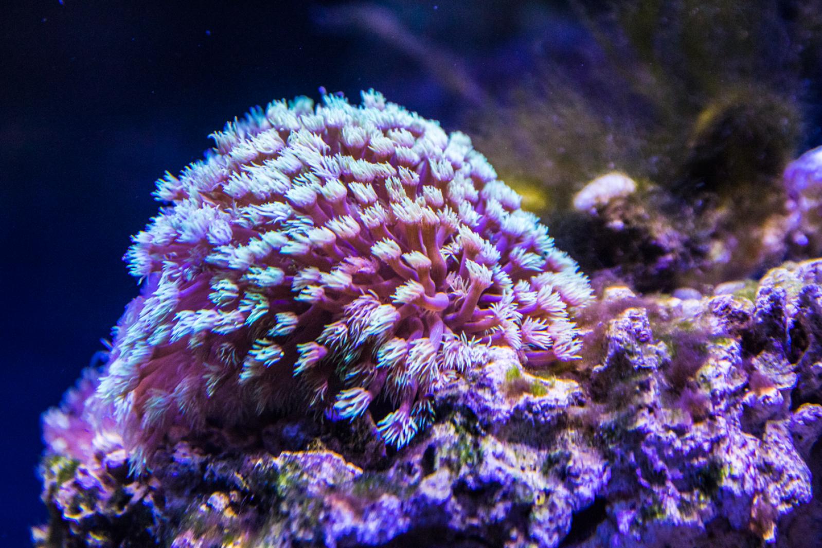 宝安科技馆