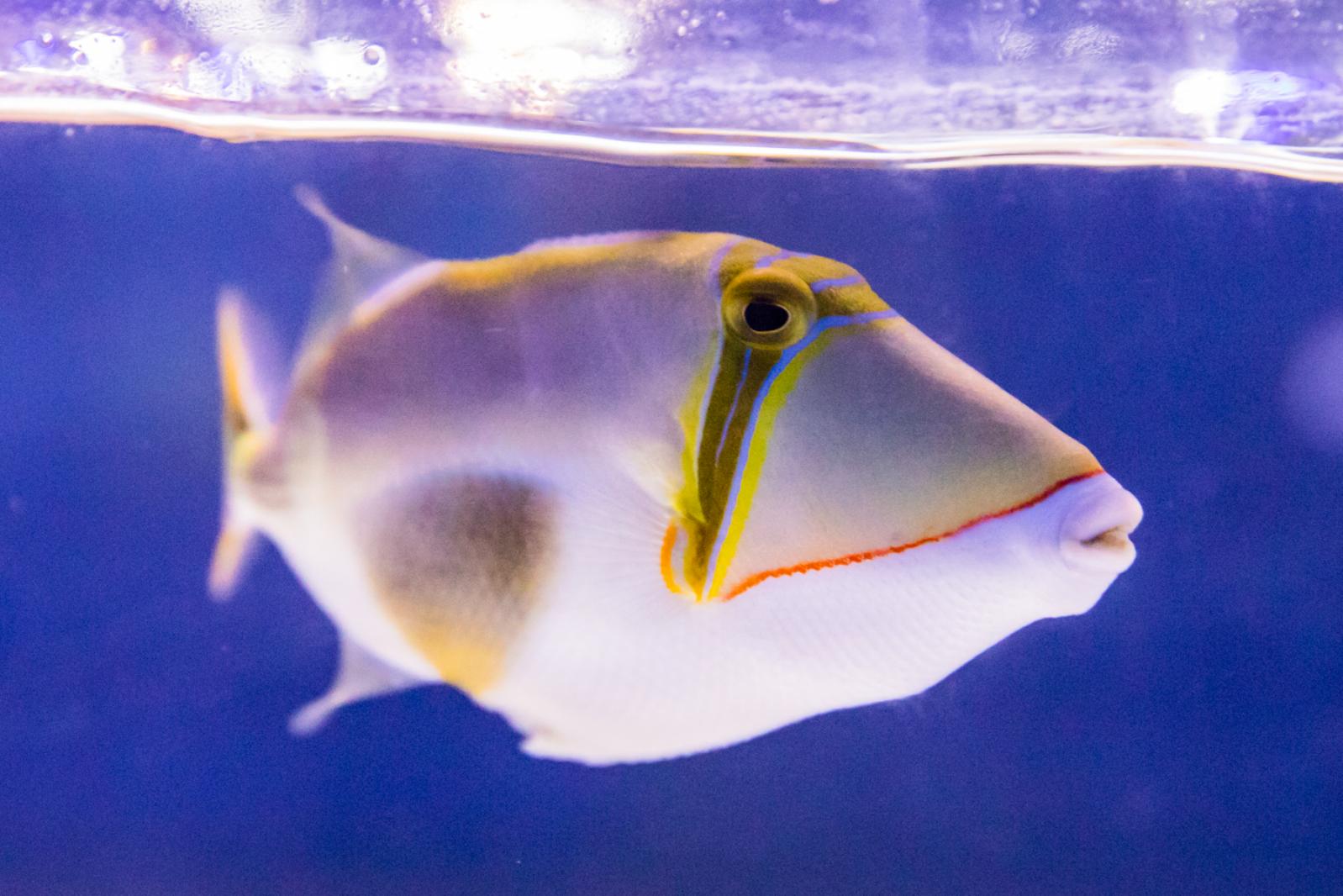 宝安科技馆