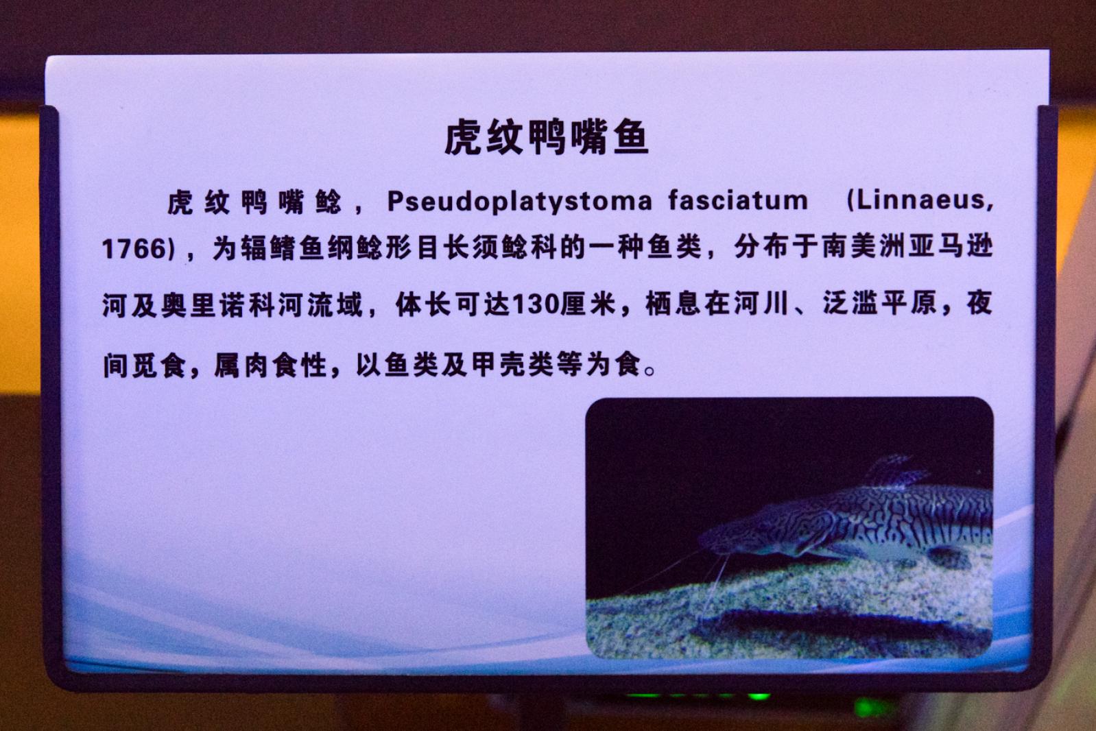 宝安科技馆
