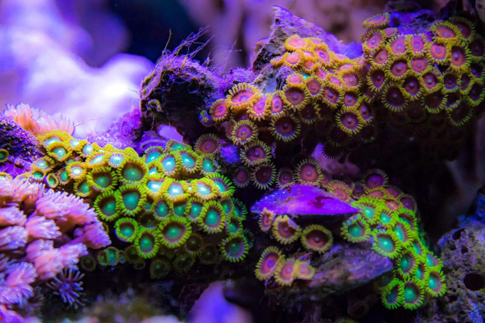 宝安科技馆