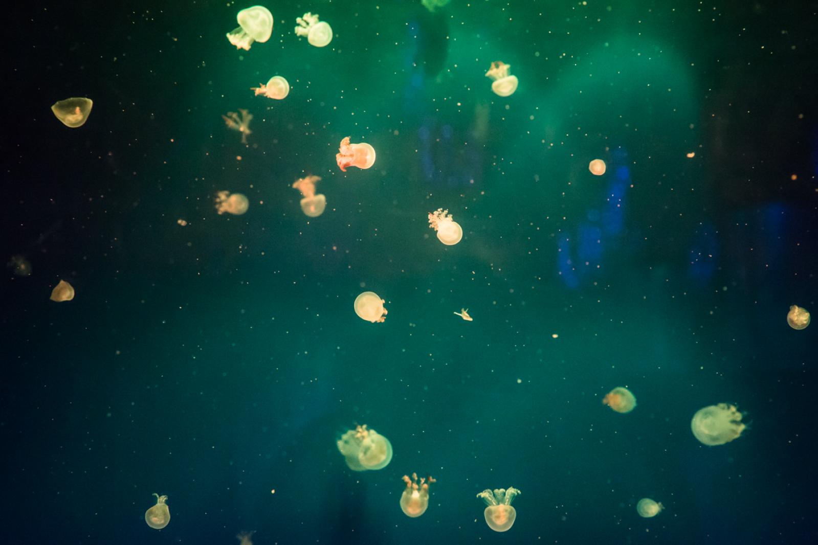 宝安科技馆