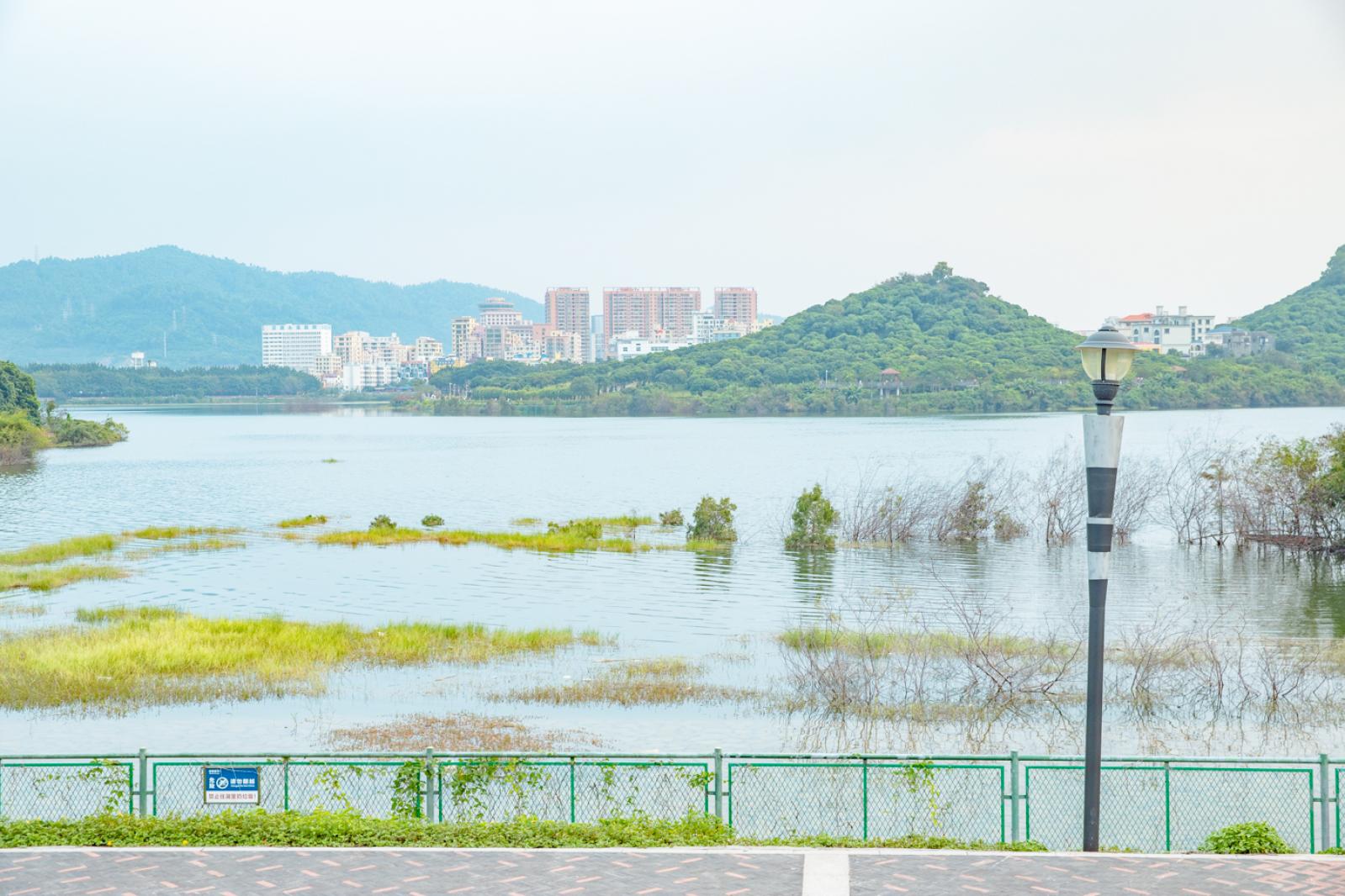 立新湖公园