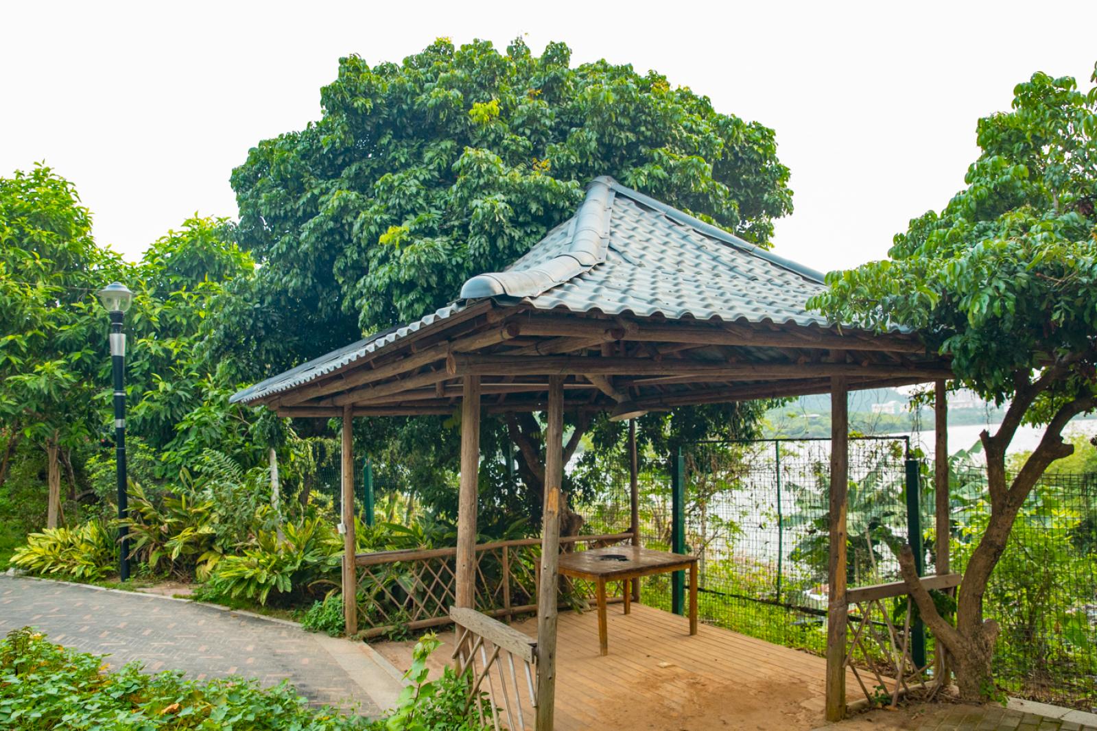 立新湖公园