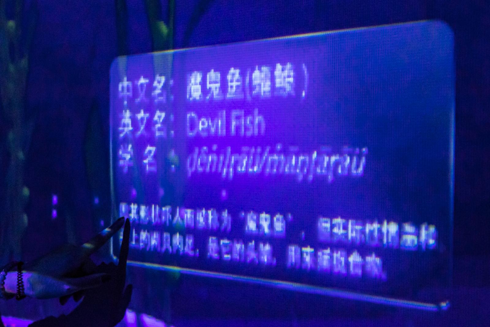 海洋奇梦馆