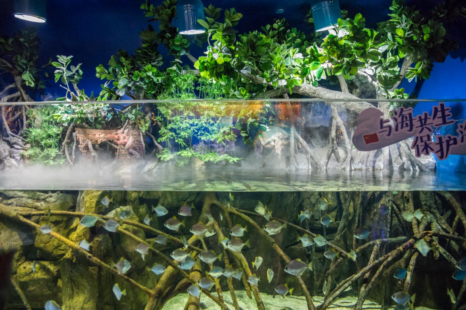 海洋奇梦馆