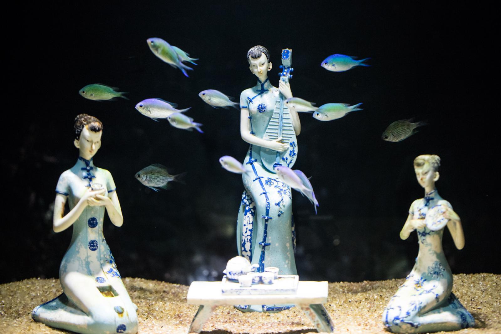 海洋奇梦馆