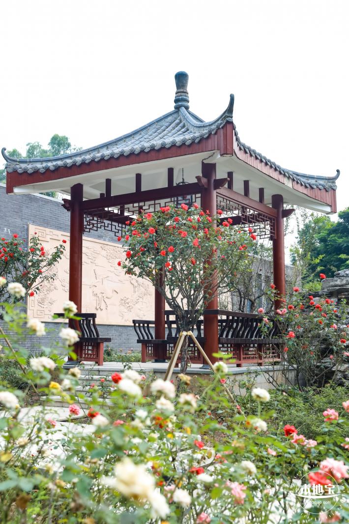 清湖文化公园