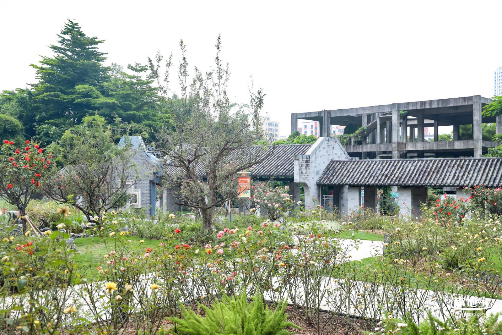 清湖文化公园