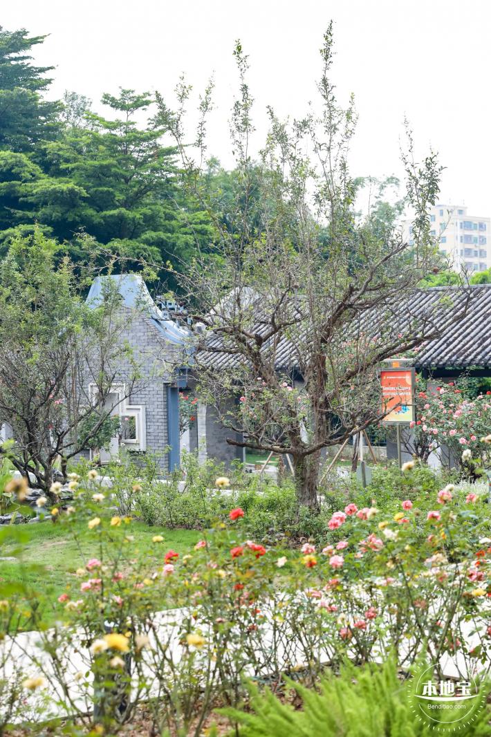 清湖文化公园