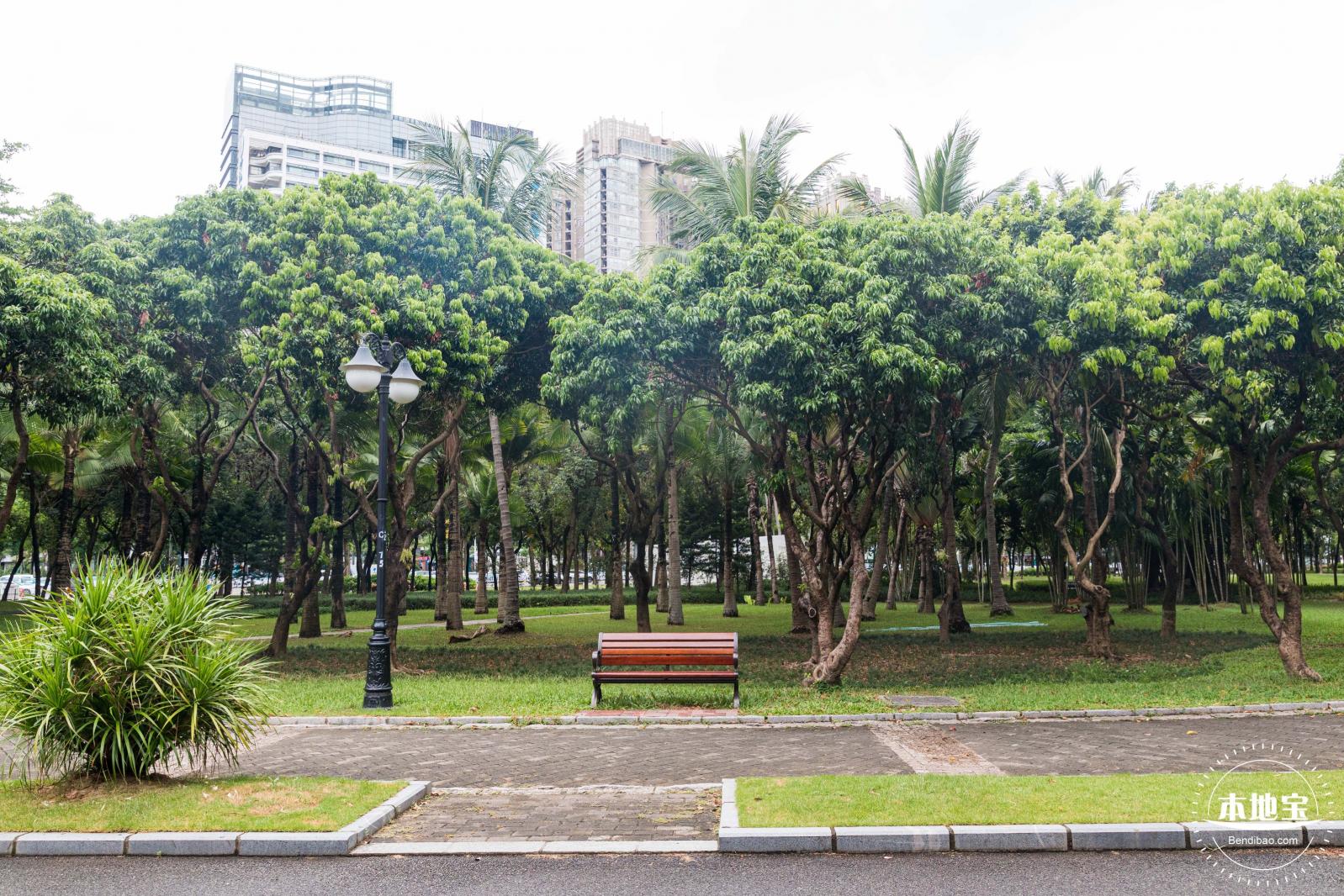 深圳中心公园